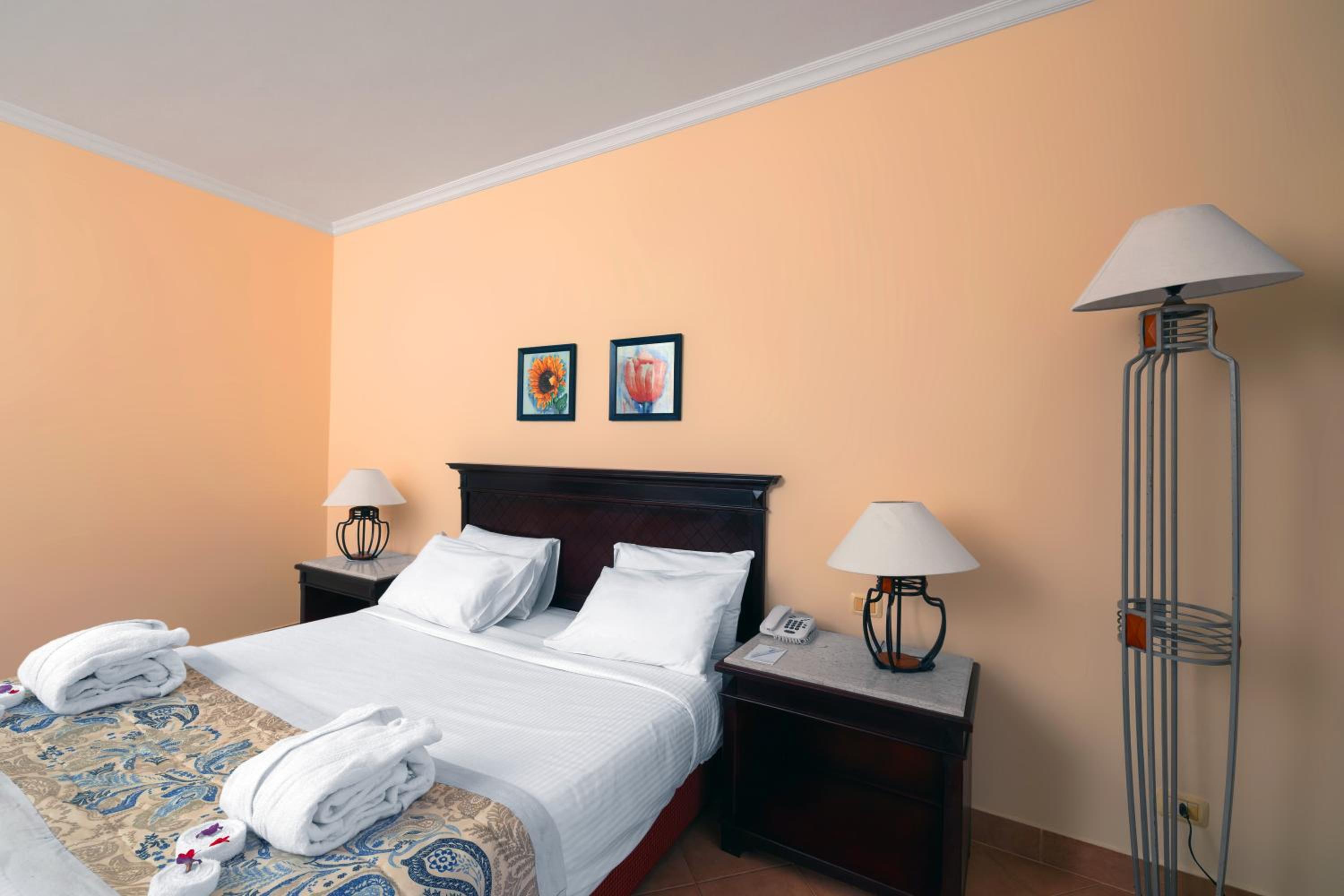 Superior Double or Twin Room with Garden View photo 2