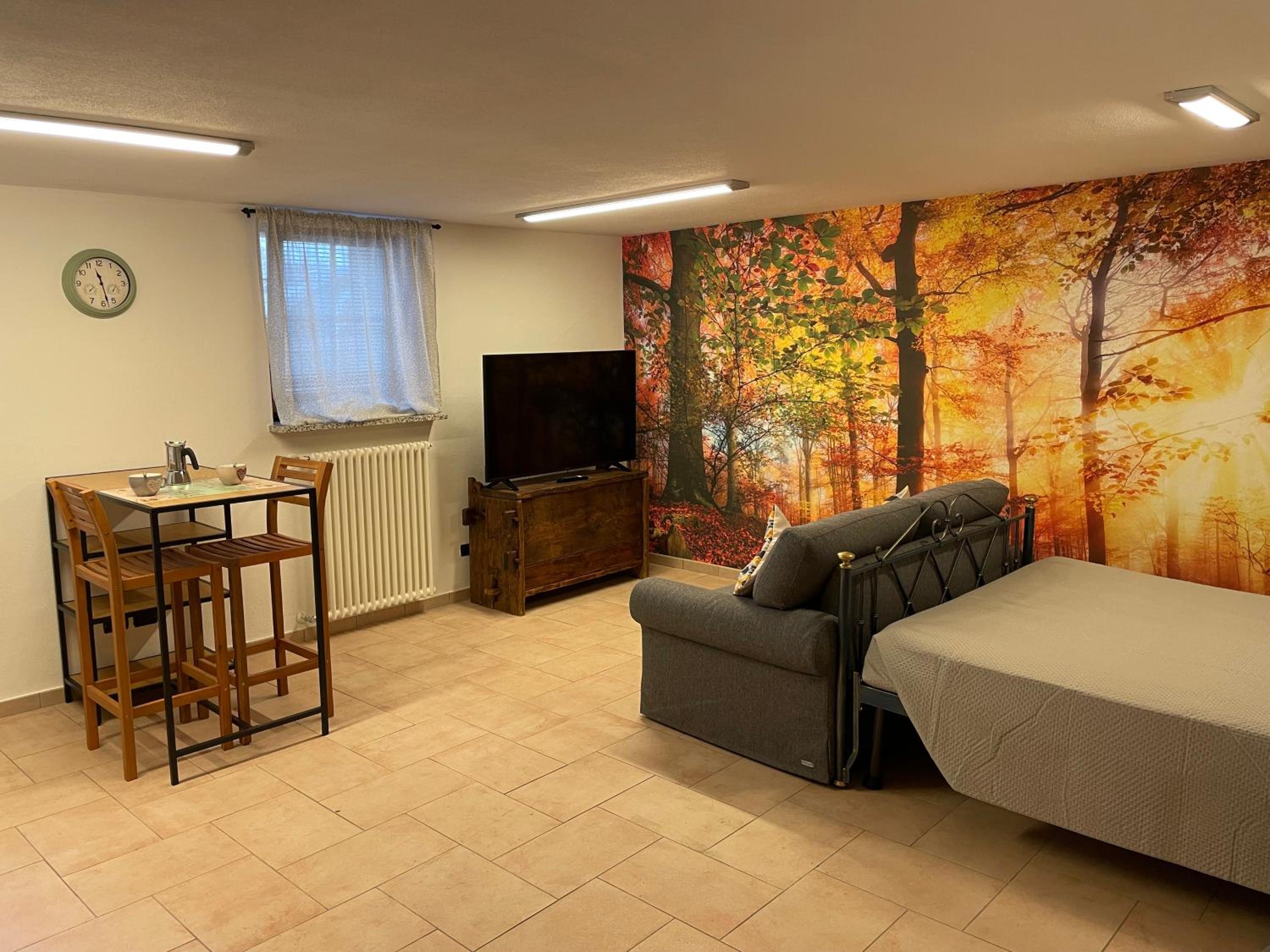 Studio Apartment photo 1