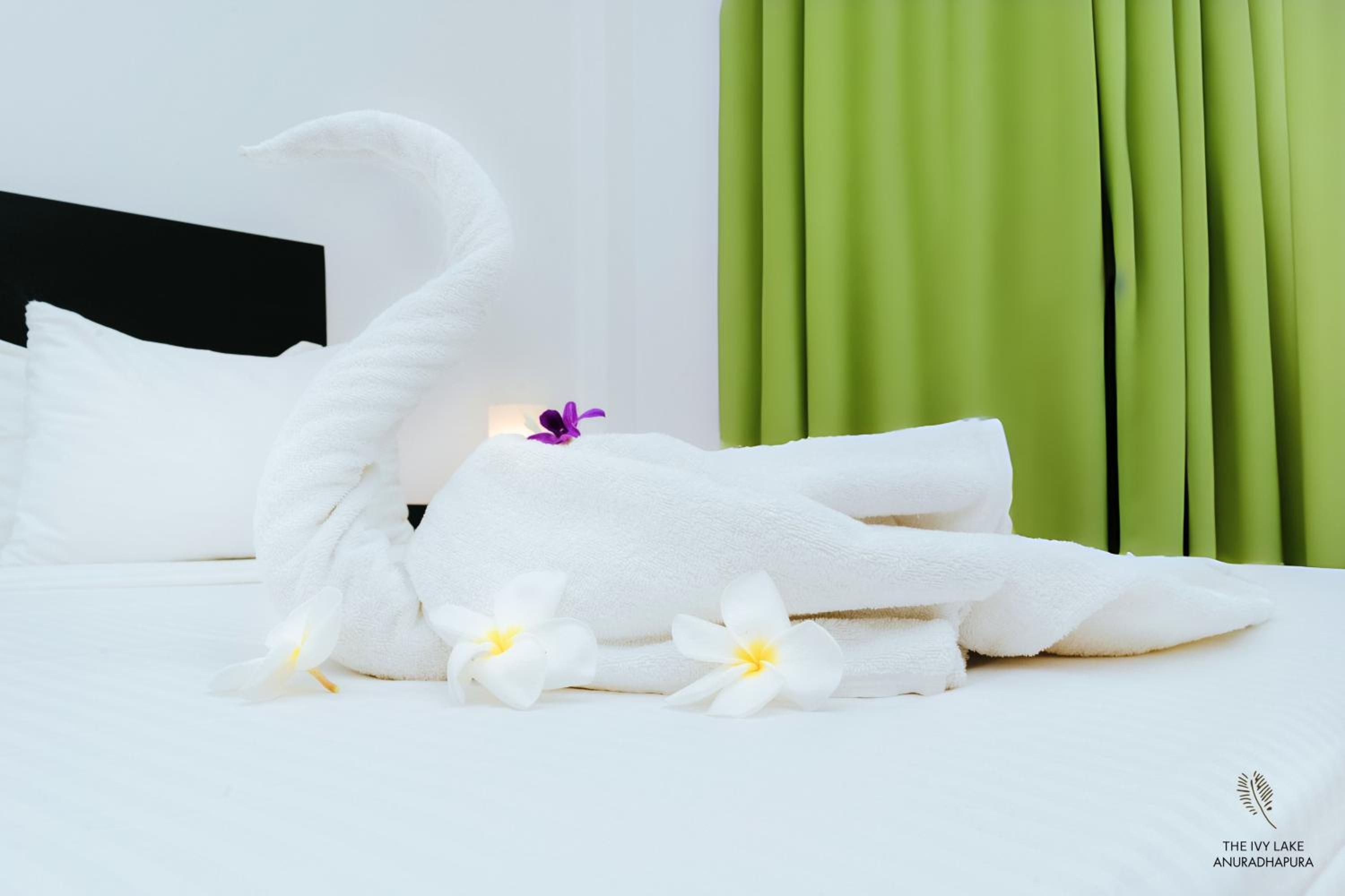 Deluxe Double Room - Photo 8
