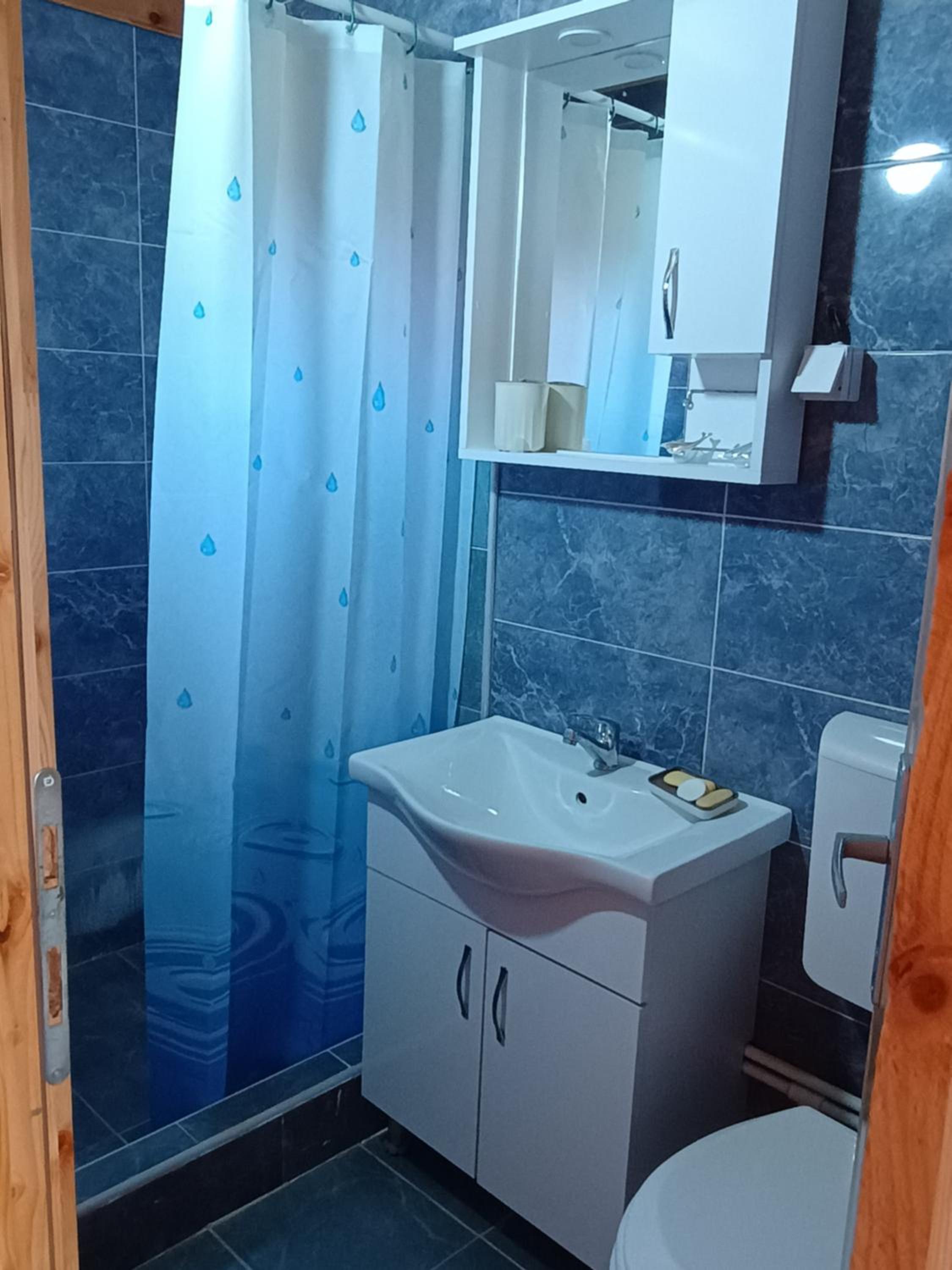 One-Bedroom House photo 3