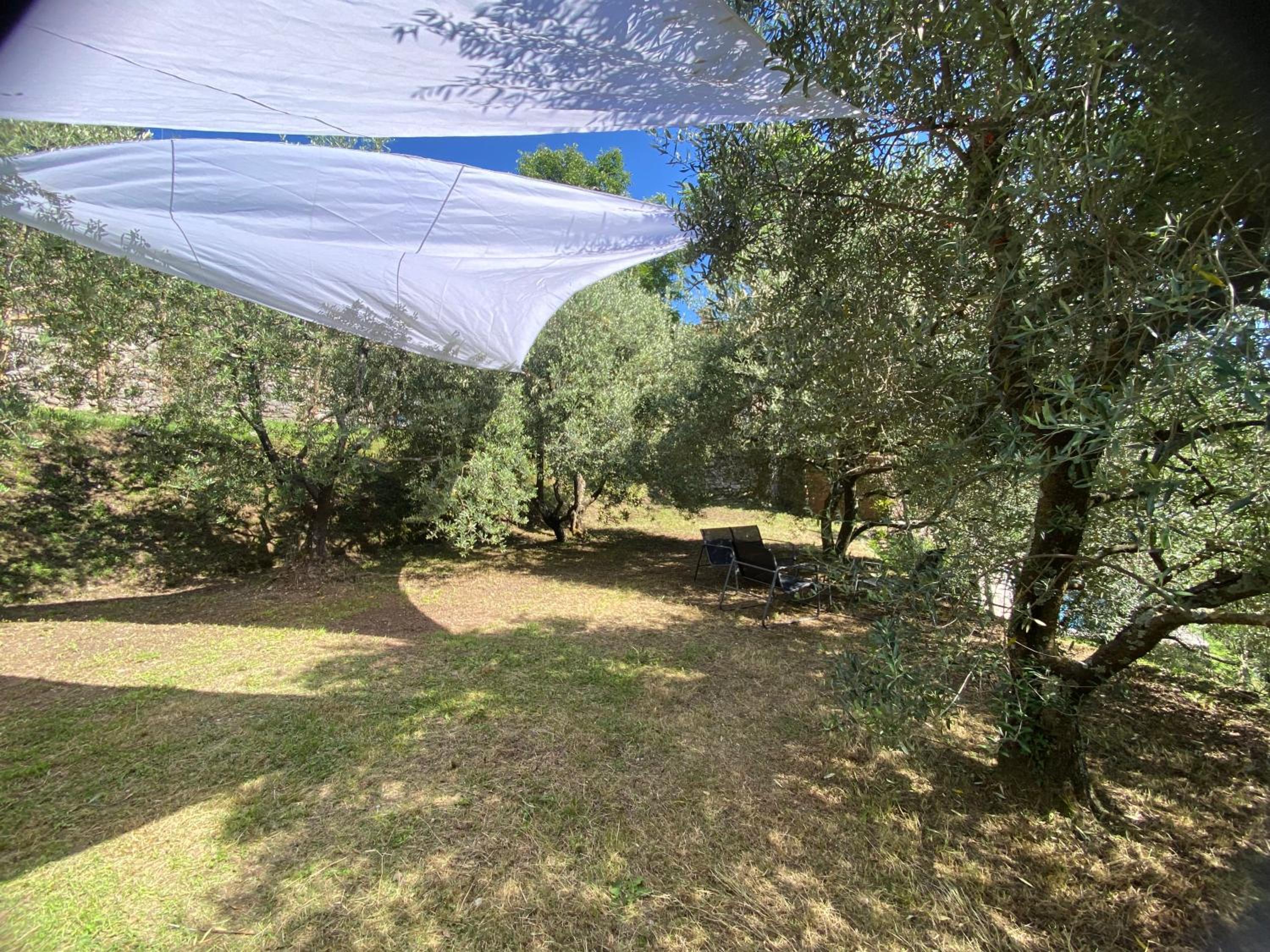Apartment - Ground Floor - Photo 2