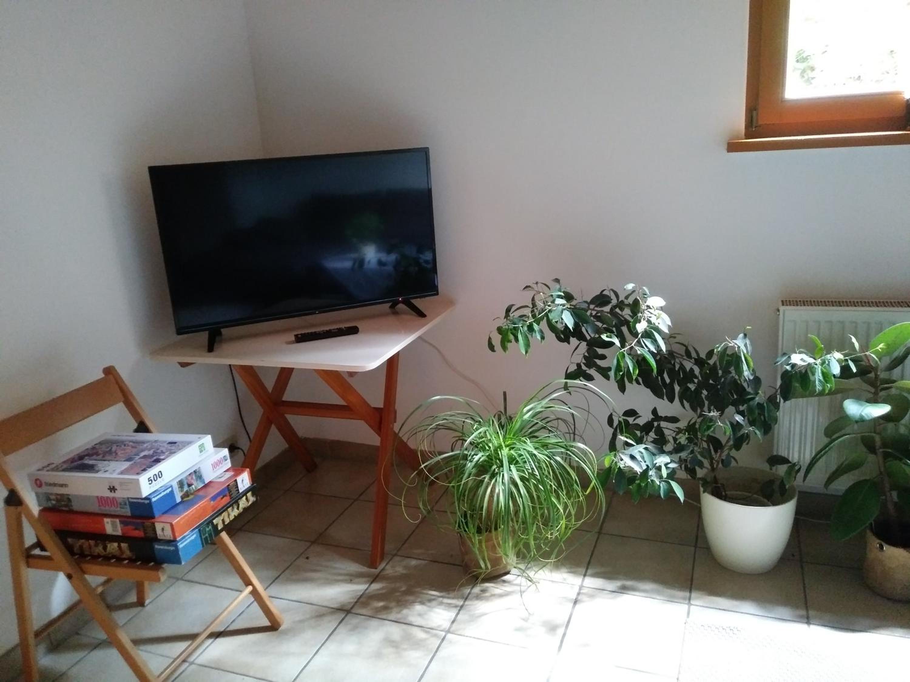 One-Bedroom Apartment - Non-Smoking photo 3