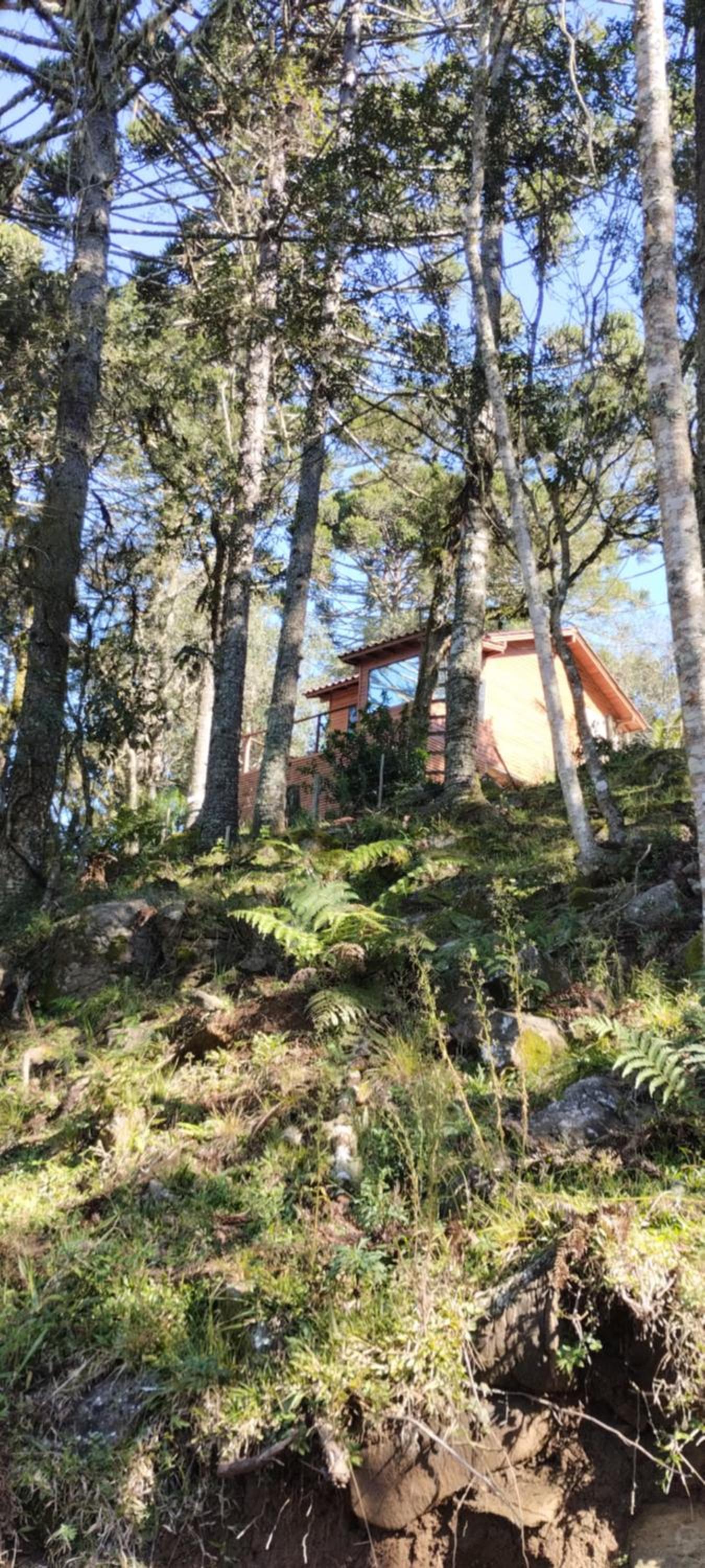 Chalet photo 2