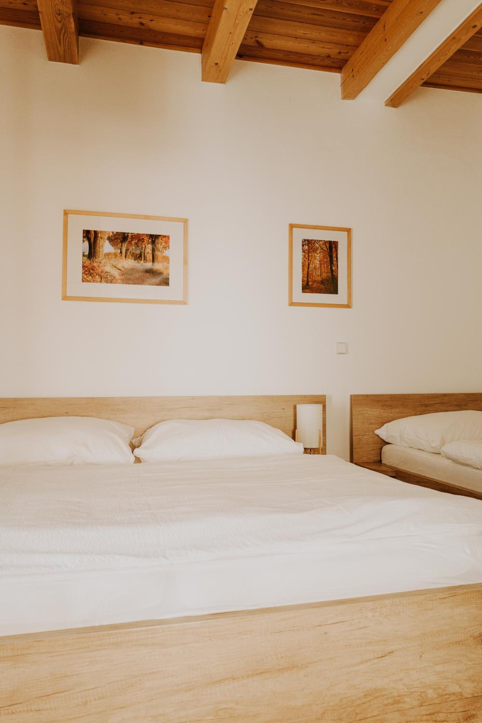 Triple Room with Terrace photo 2