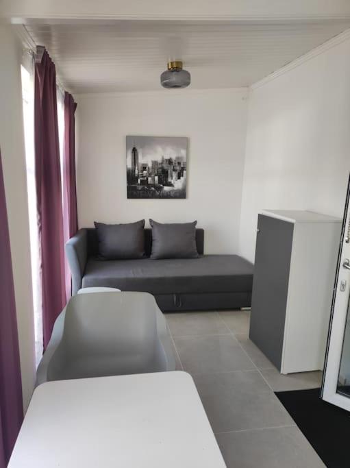 One-Bedroom Apartment photo 3