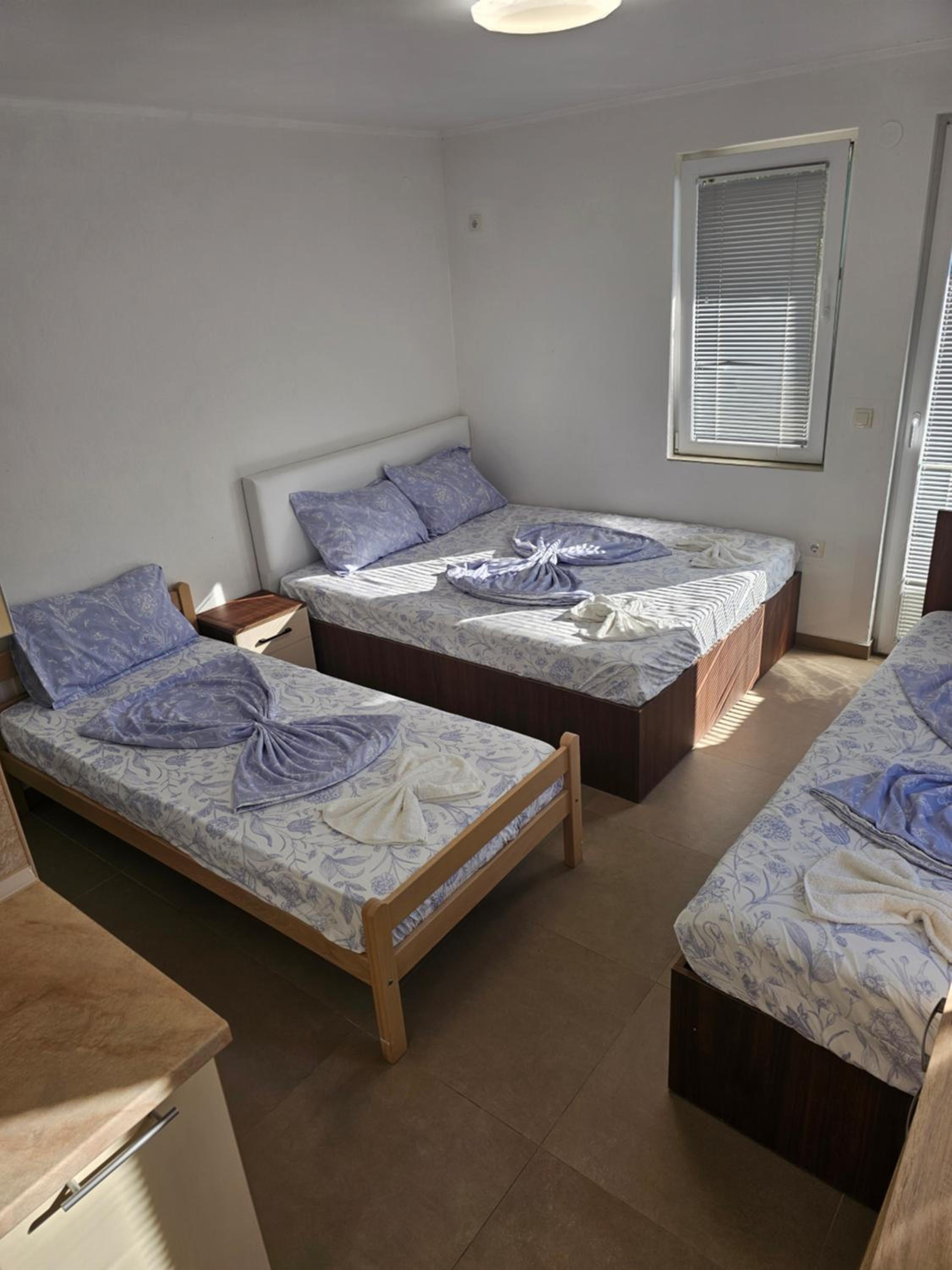 Apartment with Terrace photo 2