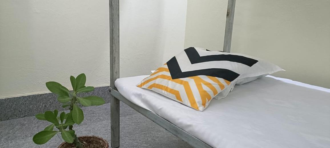 Bed in 4-Bed Female Dormitory Room photo 2