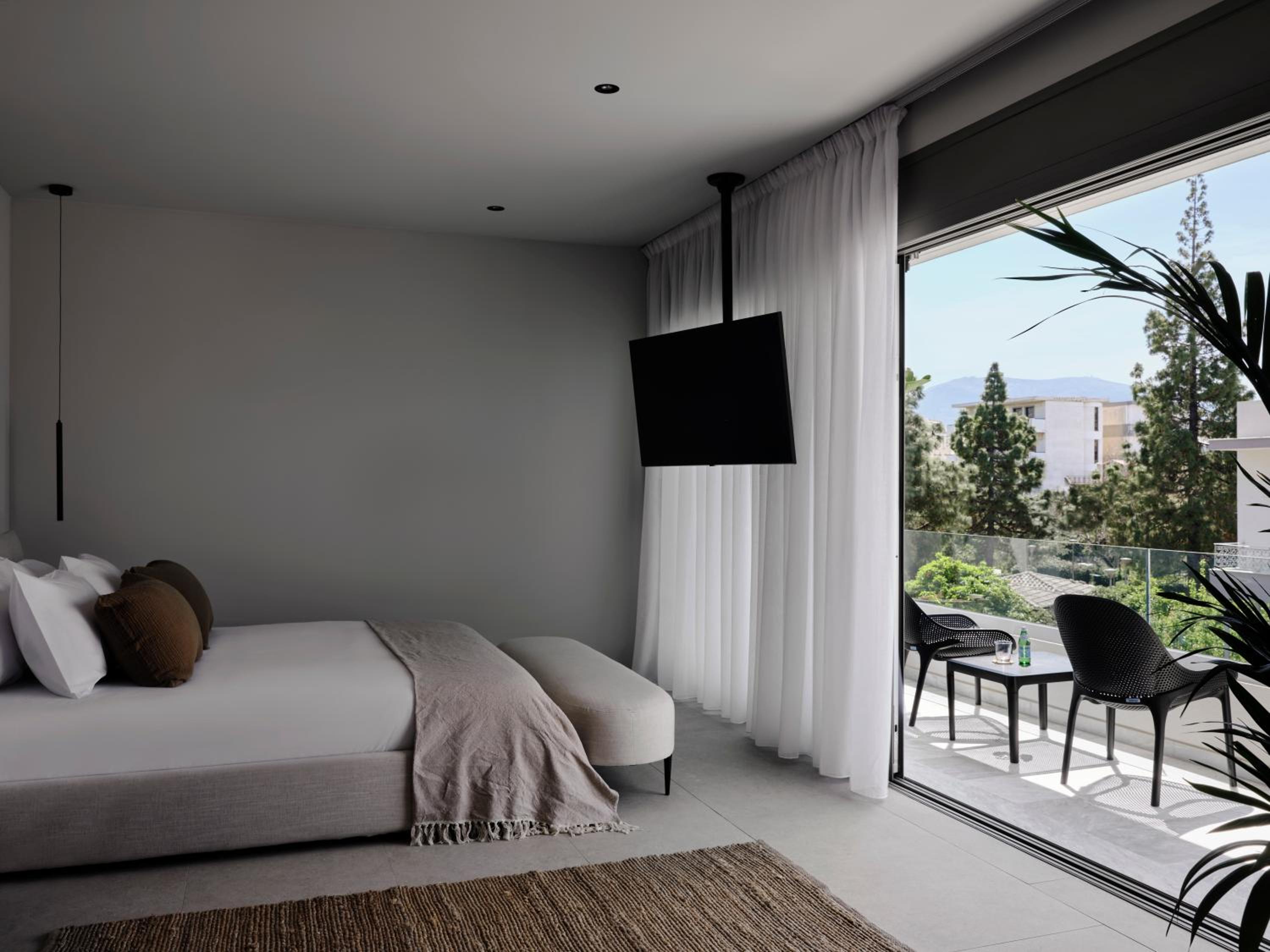 Executive Suite photo 1