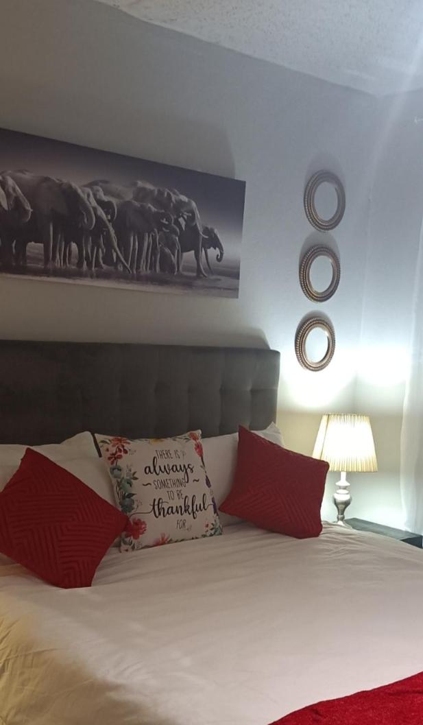 Studio Apartment with Queen Bed photo 1