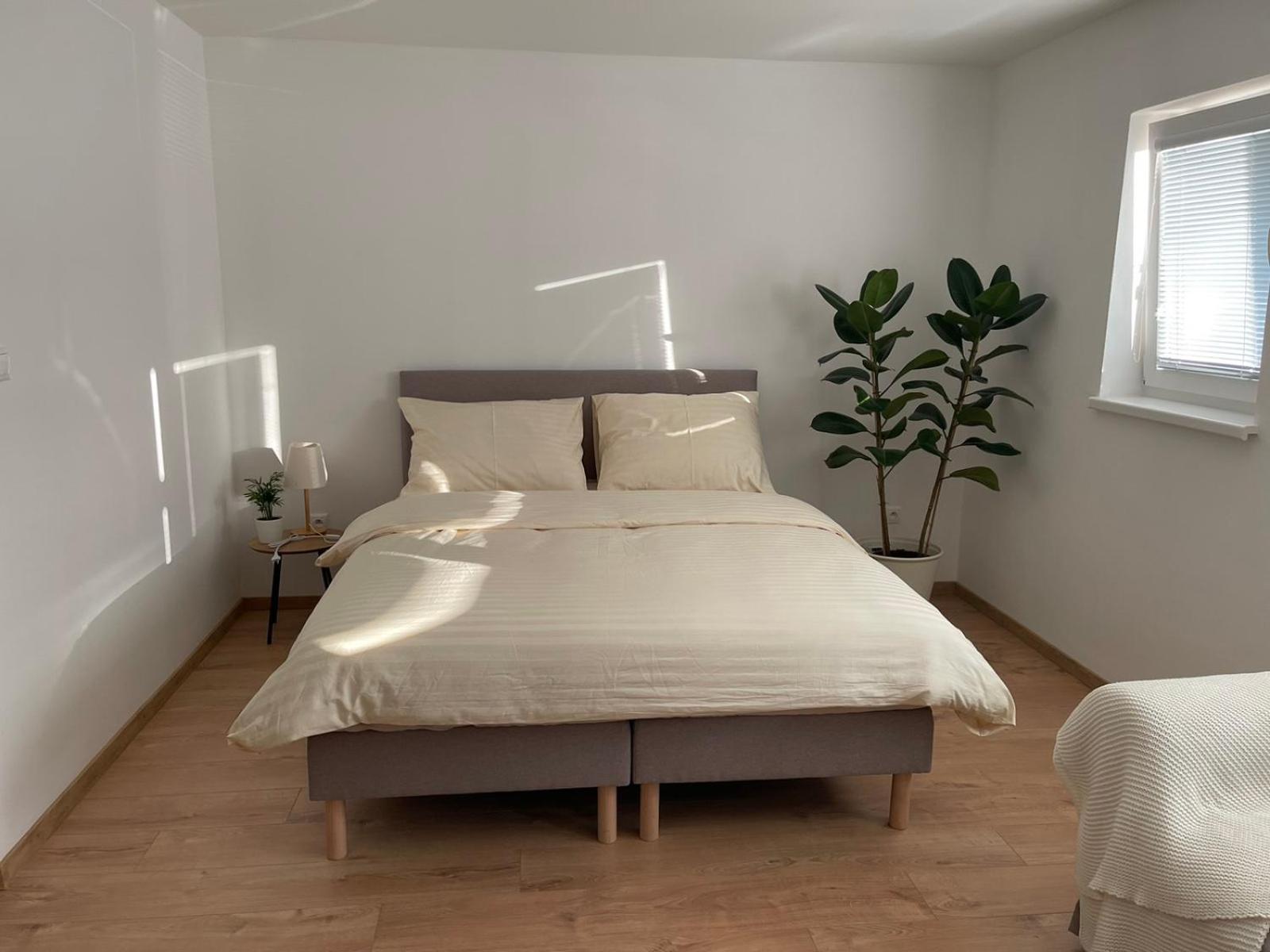 Two-Bedroom Apartment photo 3