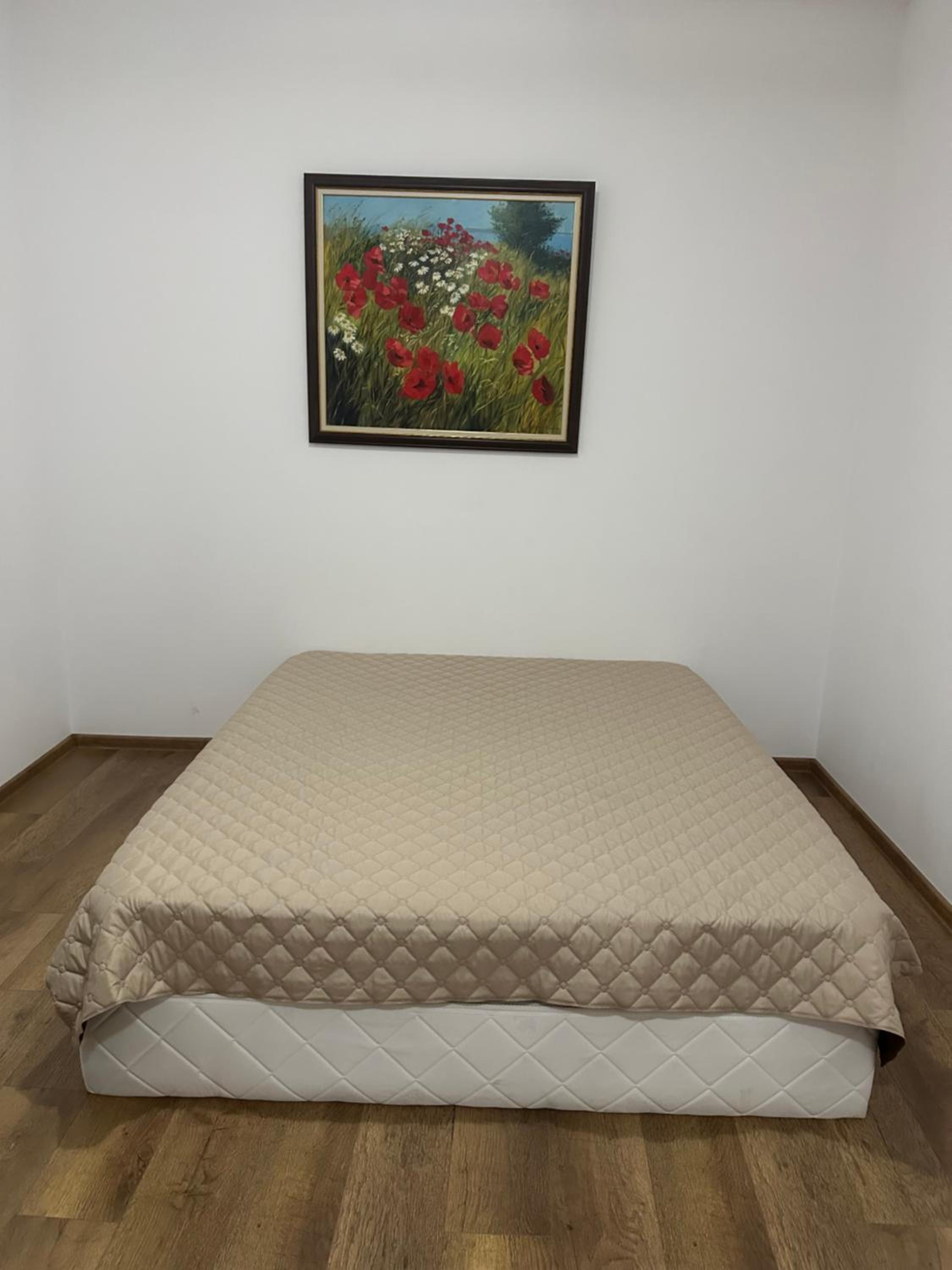 Apartment With Terrace photo 2