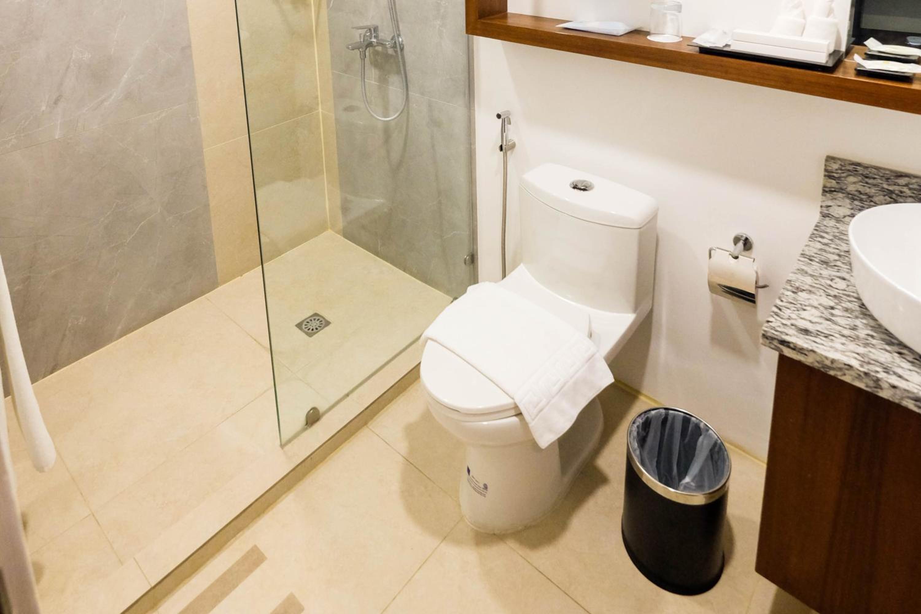 Deluxe Queen Suite - Photo 5