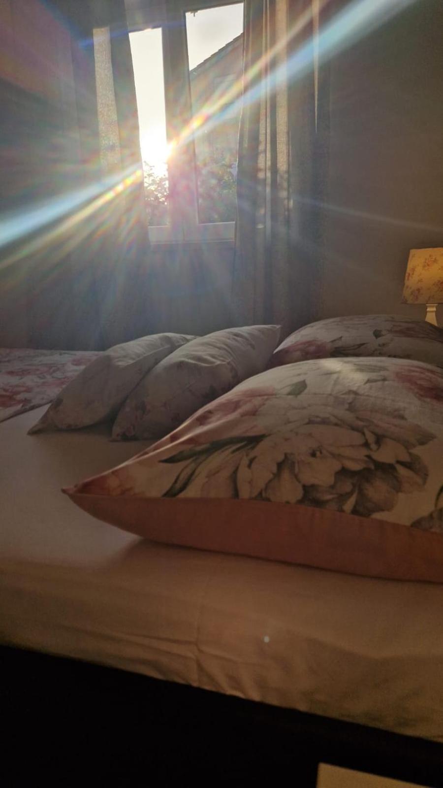 Apartment - Ground Floor (4****)