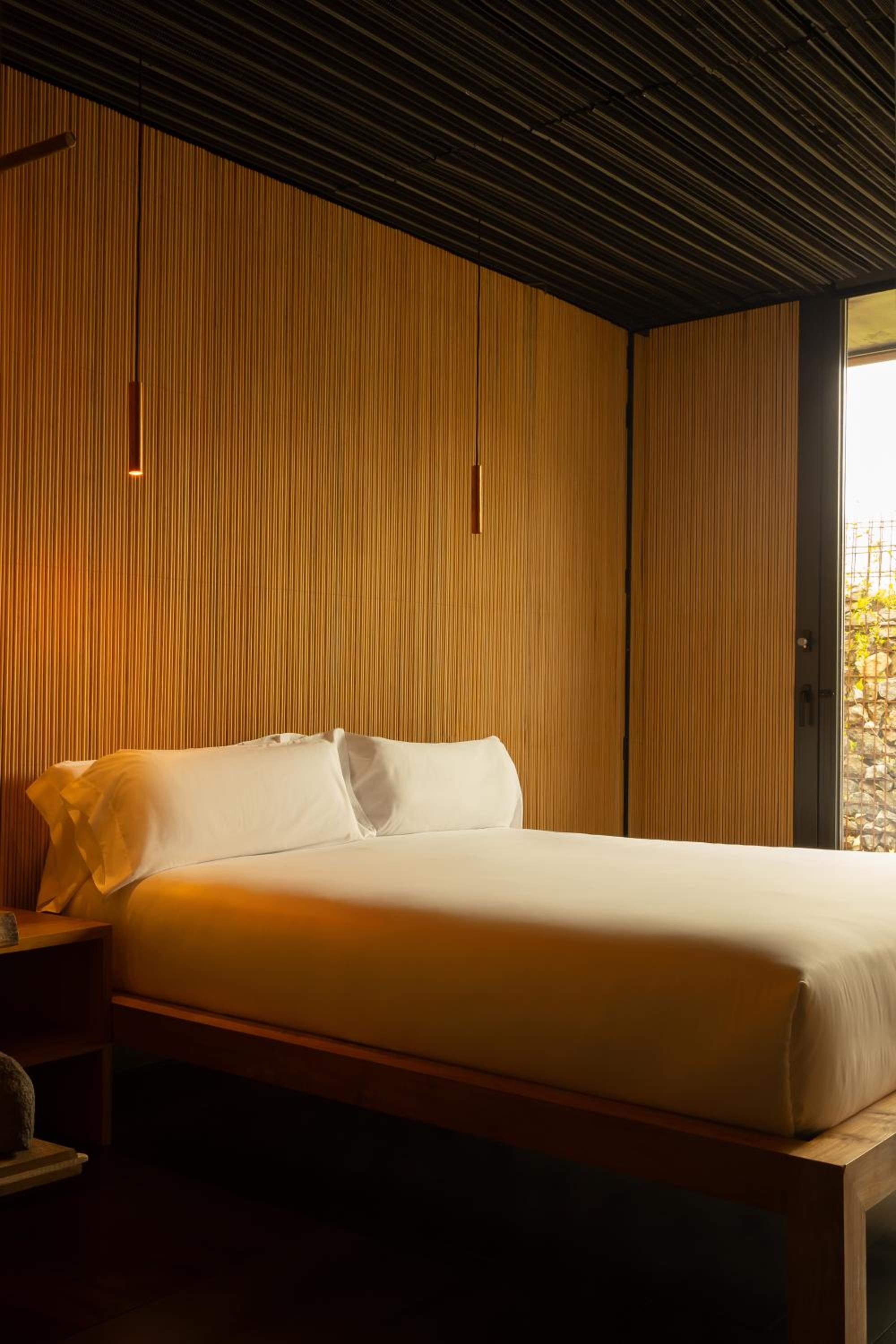 Suite Junior con Terraza