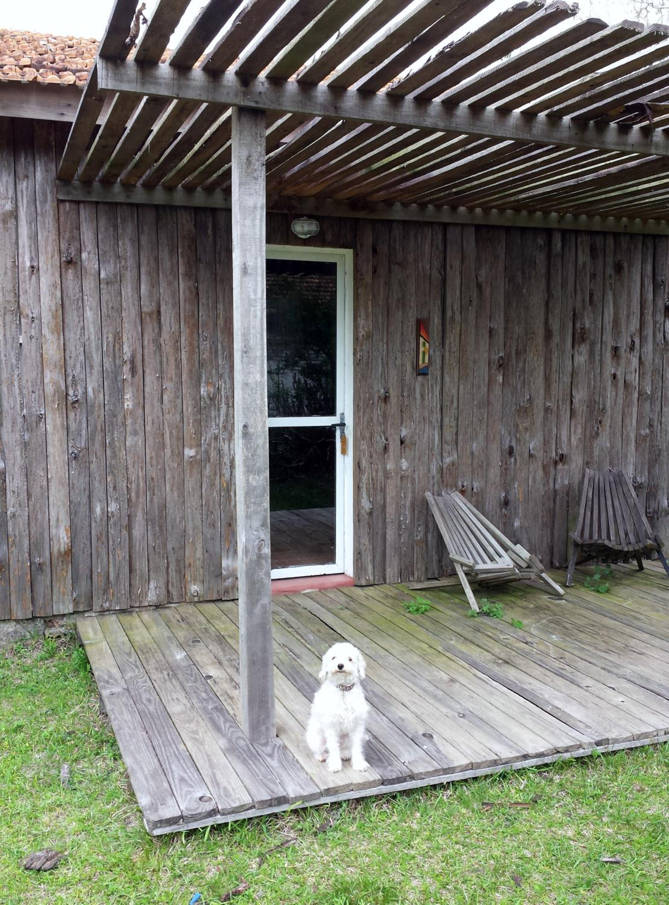 Two-Bedroom Chalet photo 2
