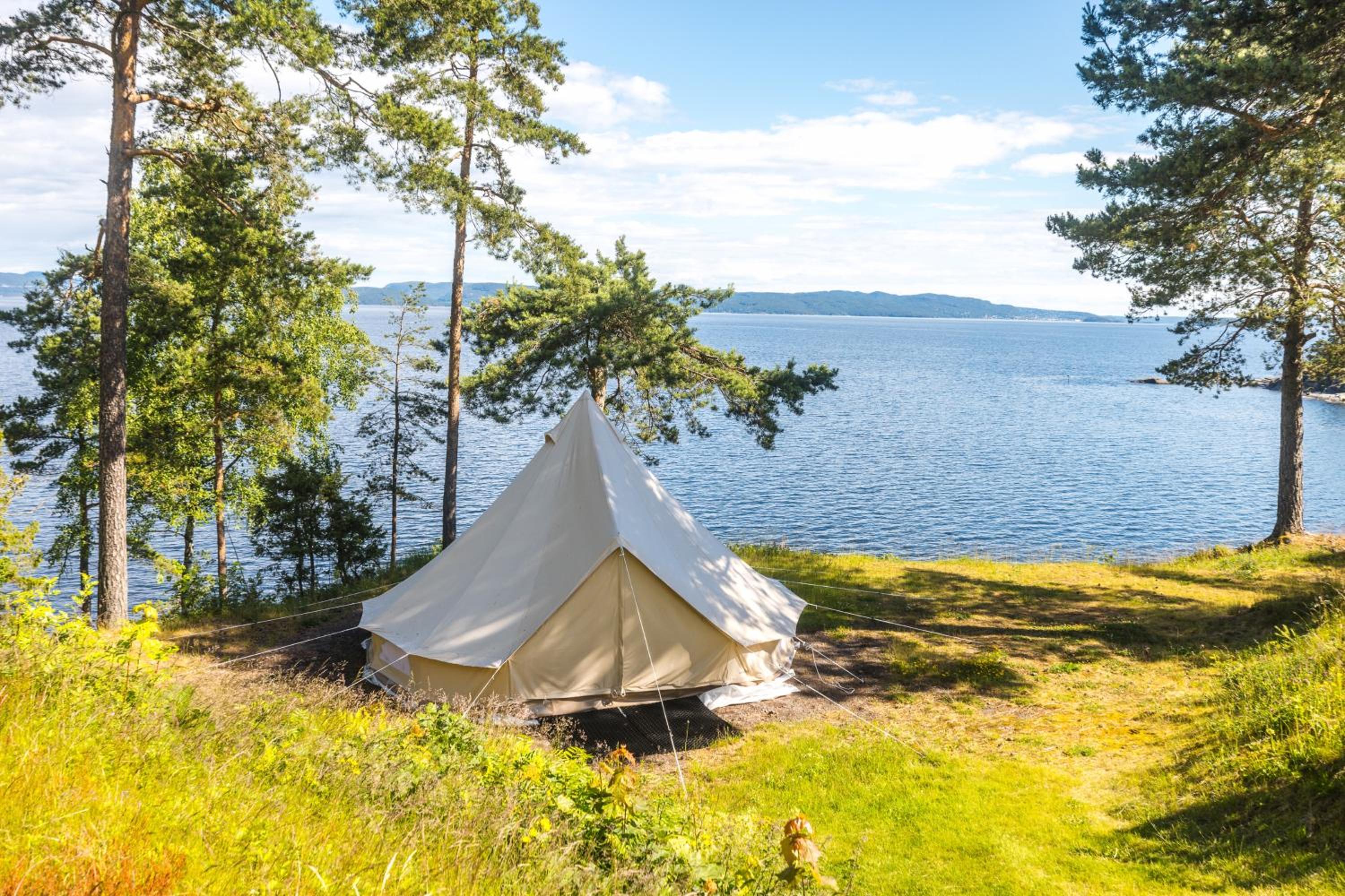 Tent Mn01 photo 3