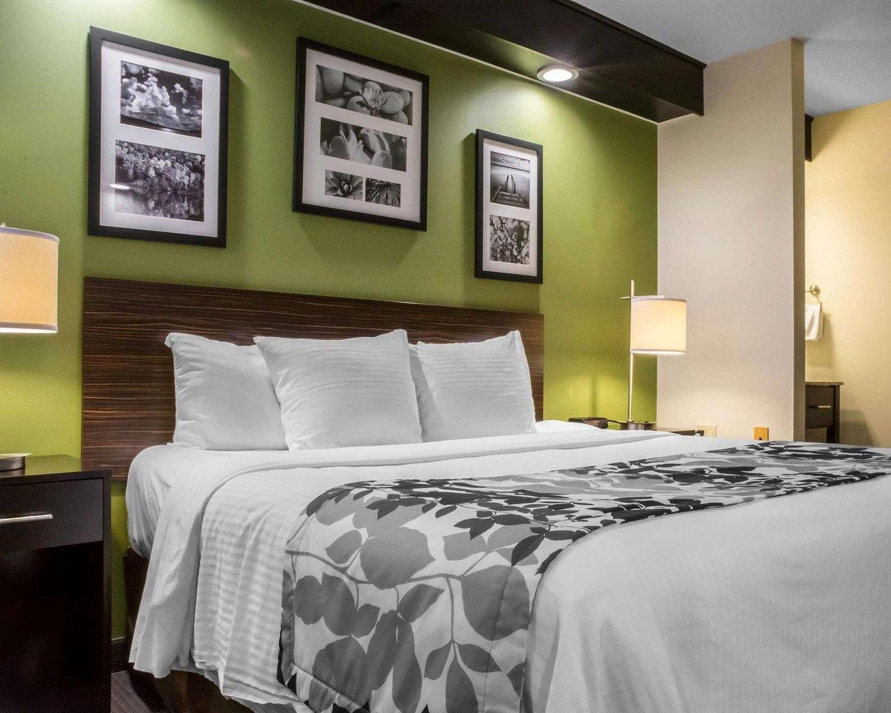 King Room - Photo 2