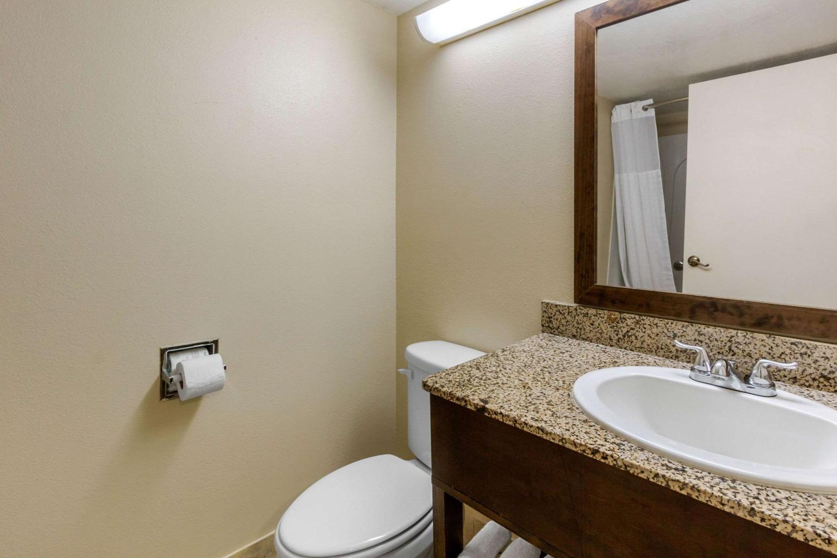 King Room - Non-Smoking - Photo 4