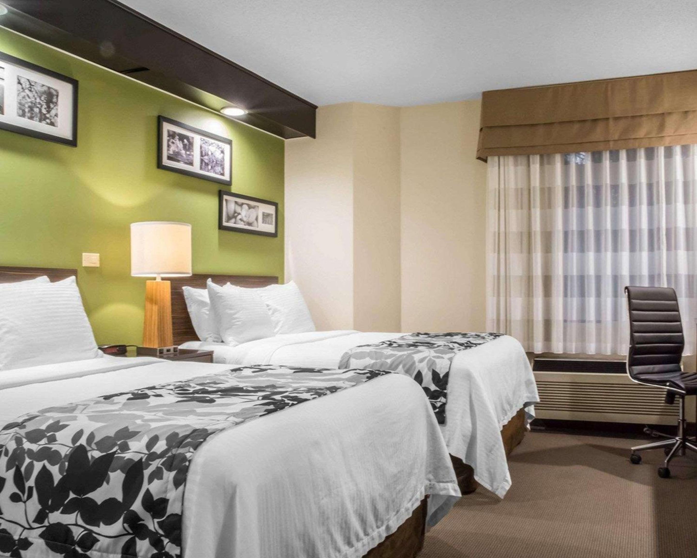 Double Room With Two Double Beds - Photo 4