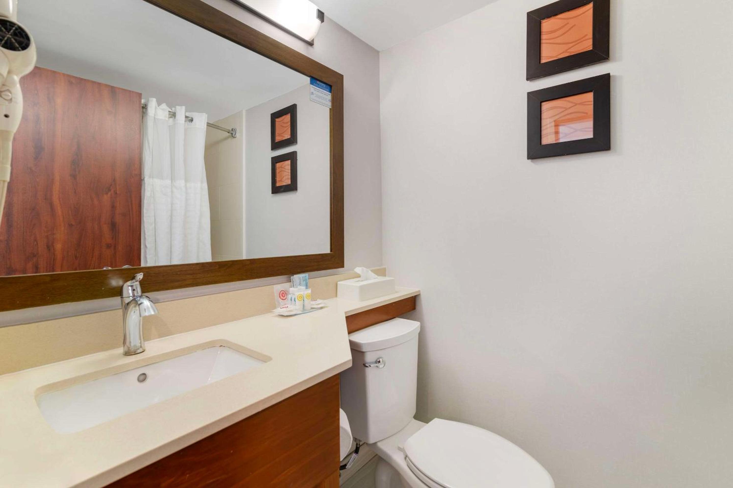 Suite with One King and Two Queen Beds - Non-Smoking - Photo 4
