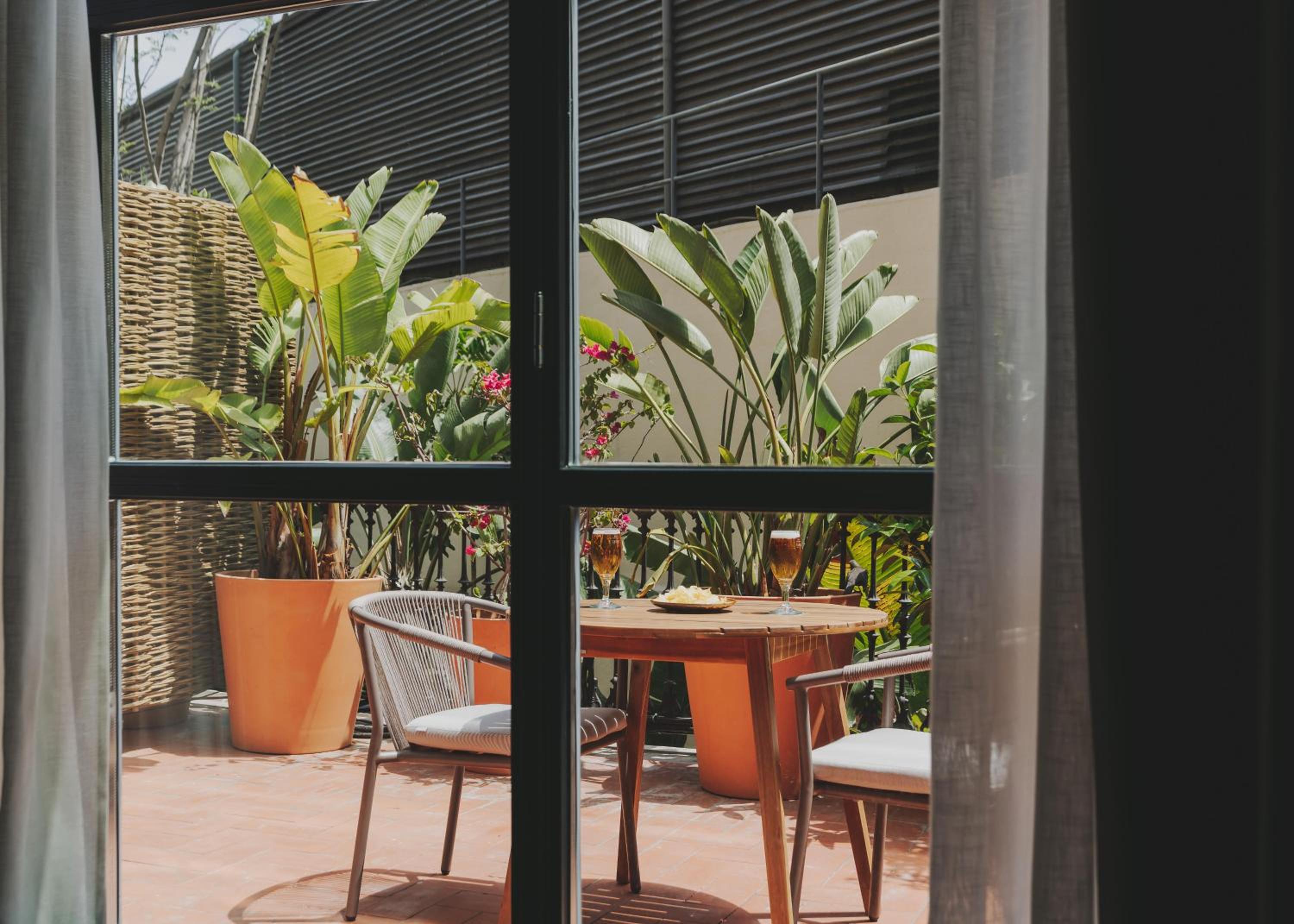 Studio with Terrace