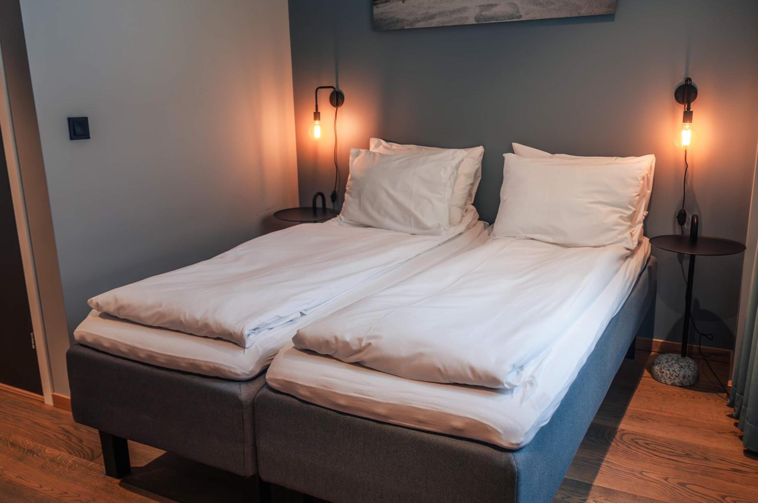 Deluxe Double or Twin Room photo 3