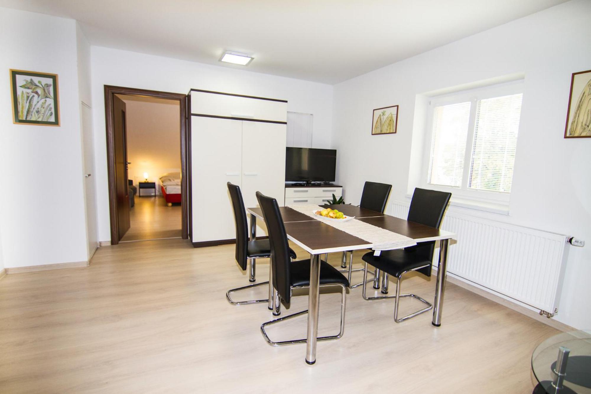 Standard Apartment photo 3