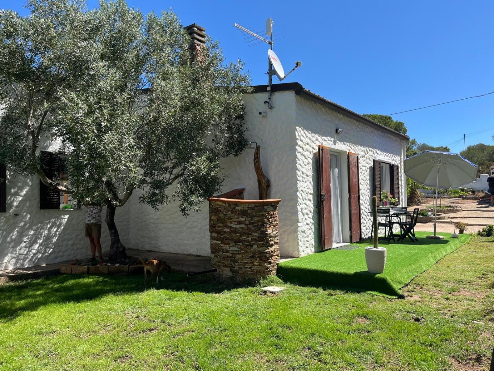 One-Bedroom House photo 3