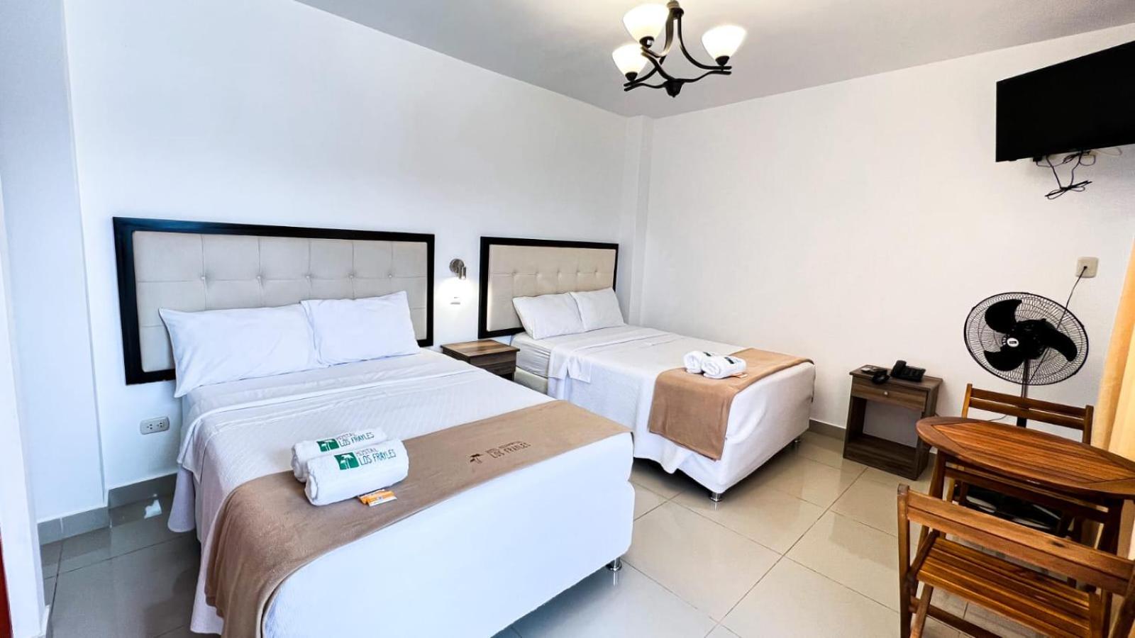Twin Room photo 3