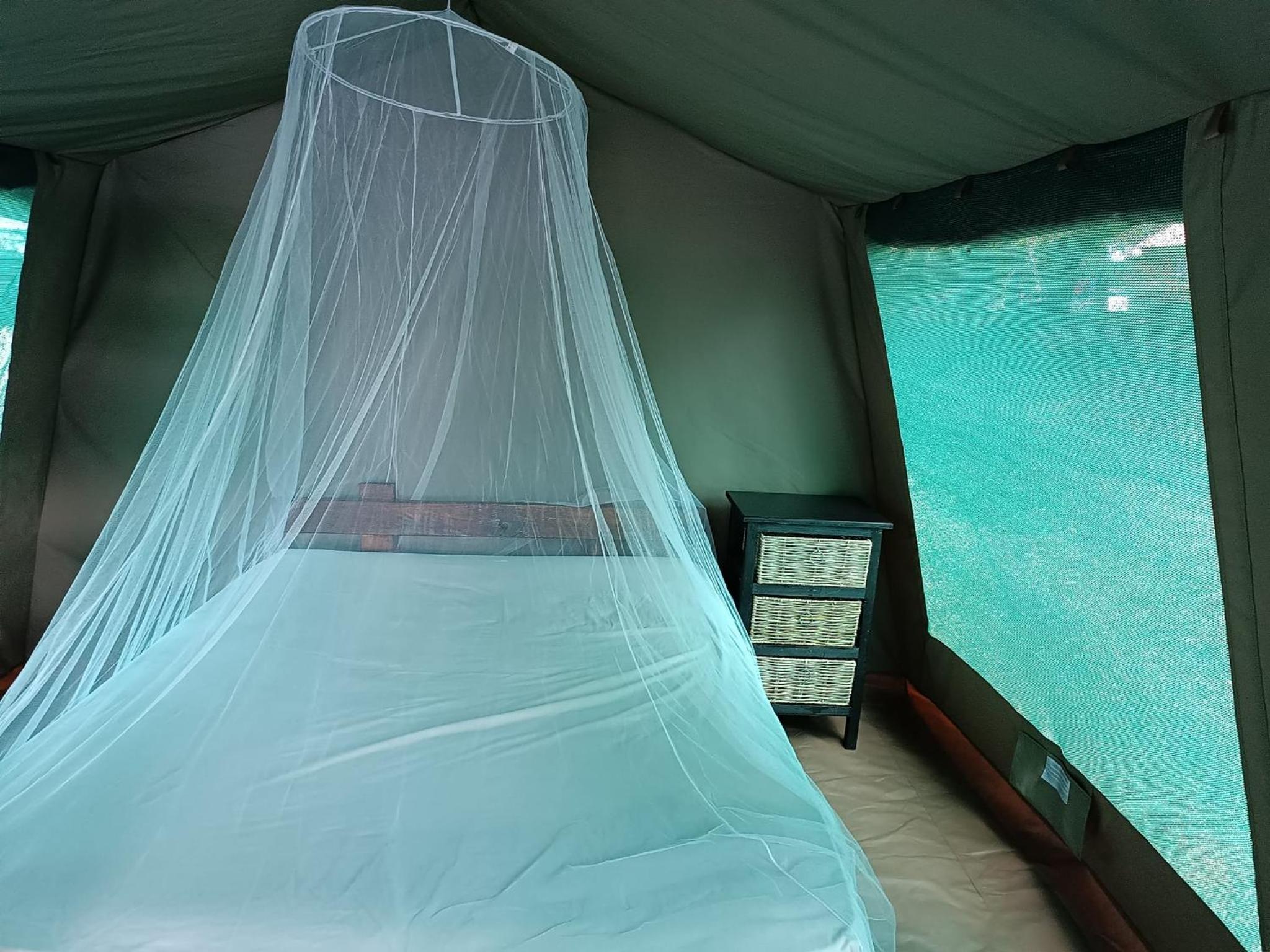 Tent photo 1