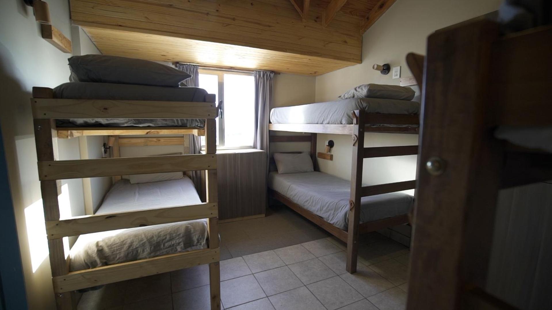 Single Bed in Female Dormitory Room with Ensuite photo 1