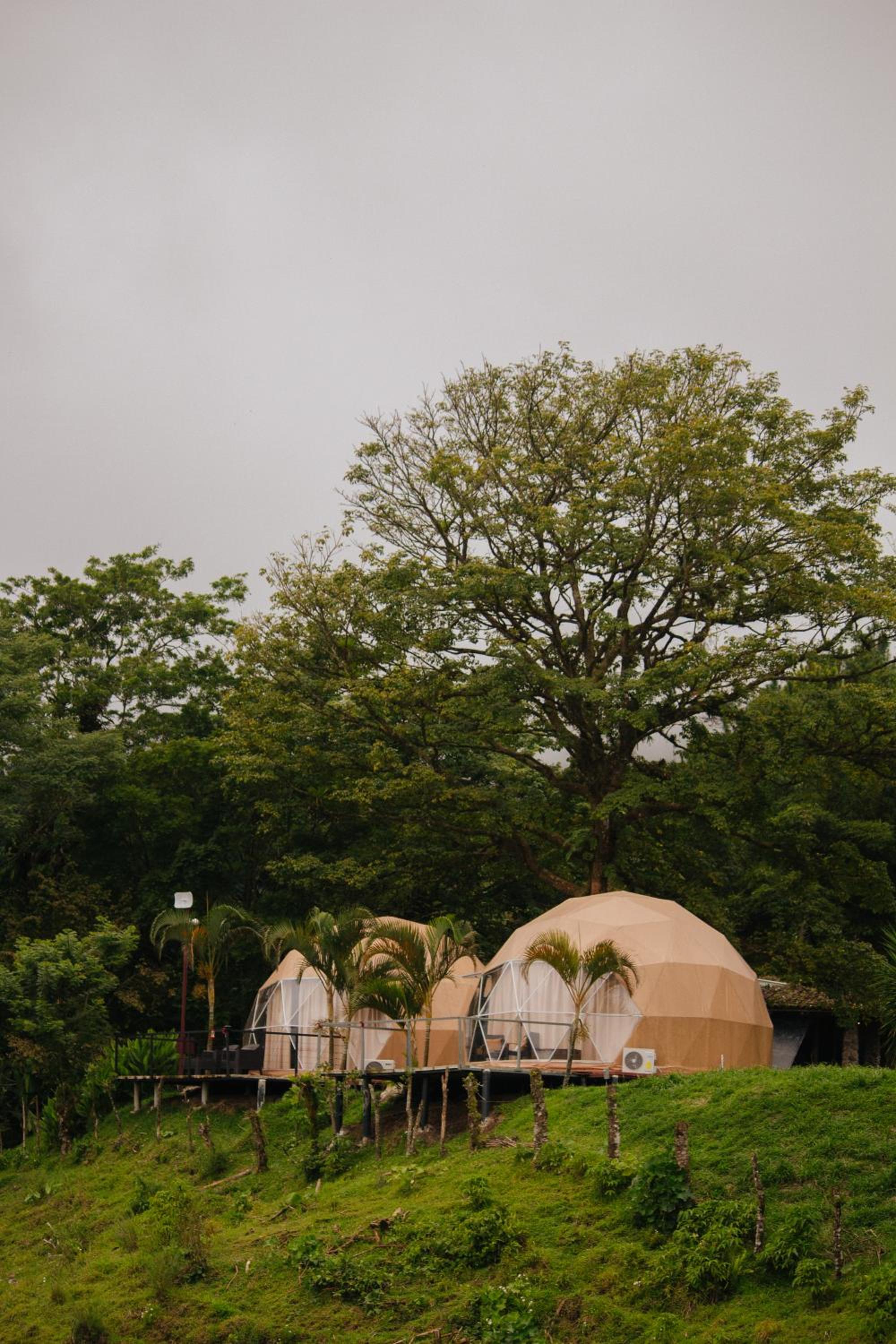 Tent photo 2