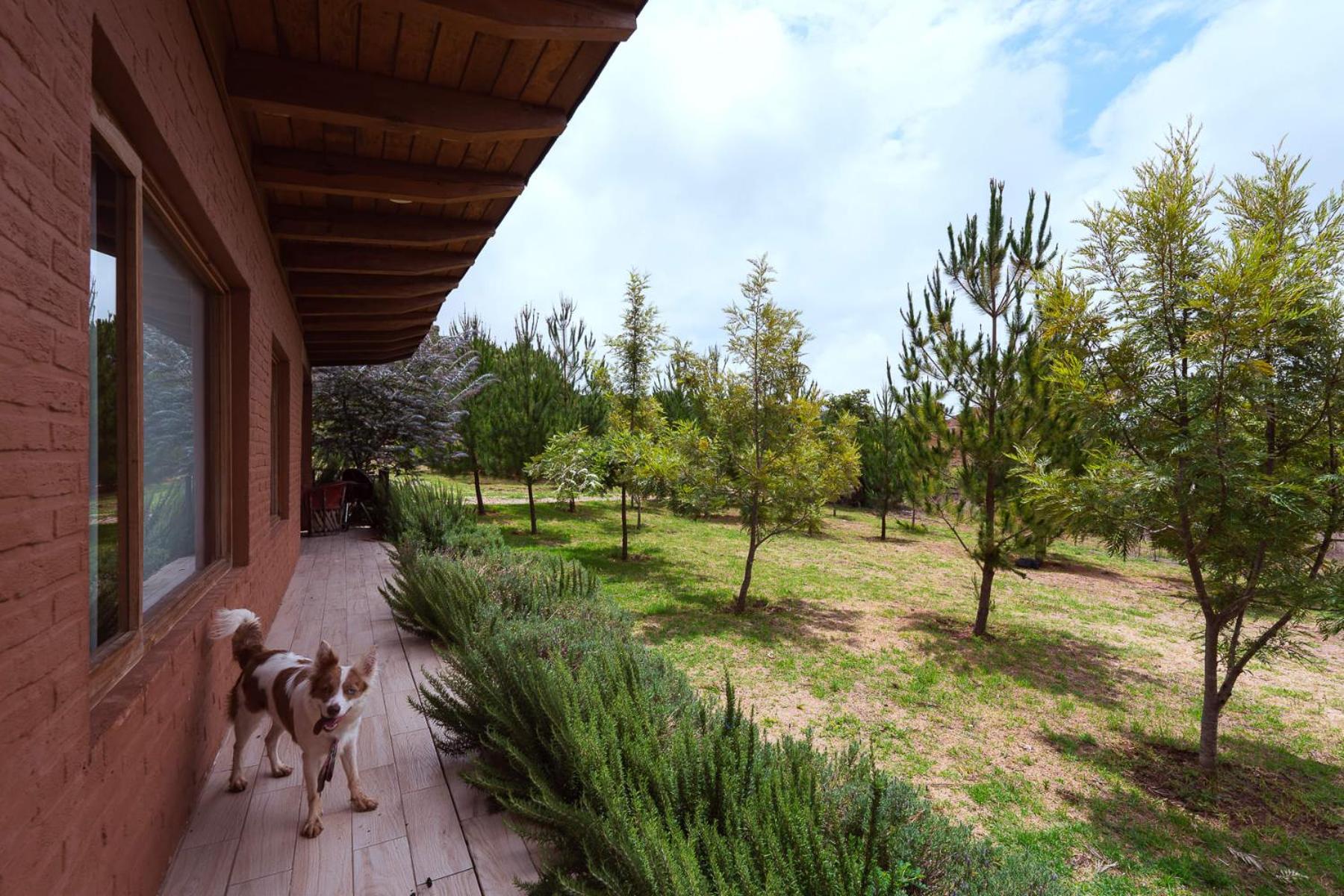 Chalet photo 3