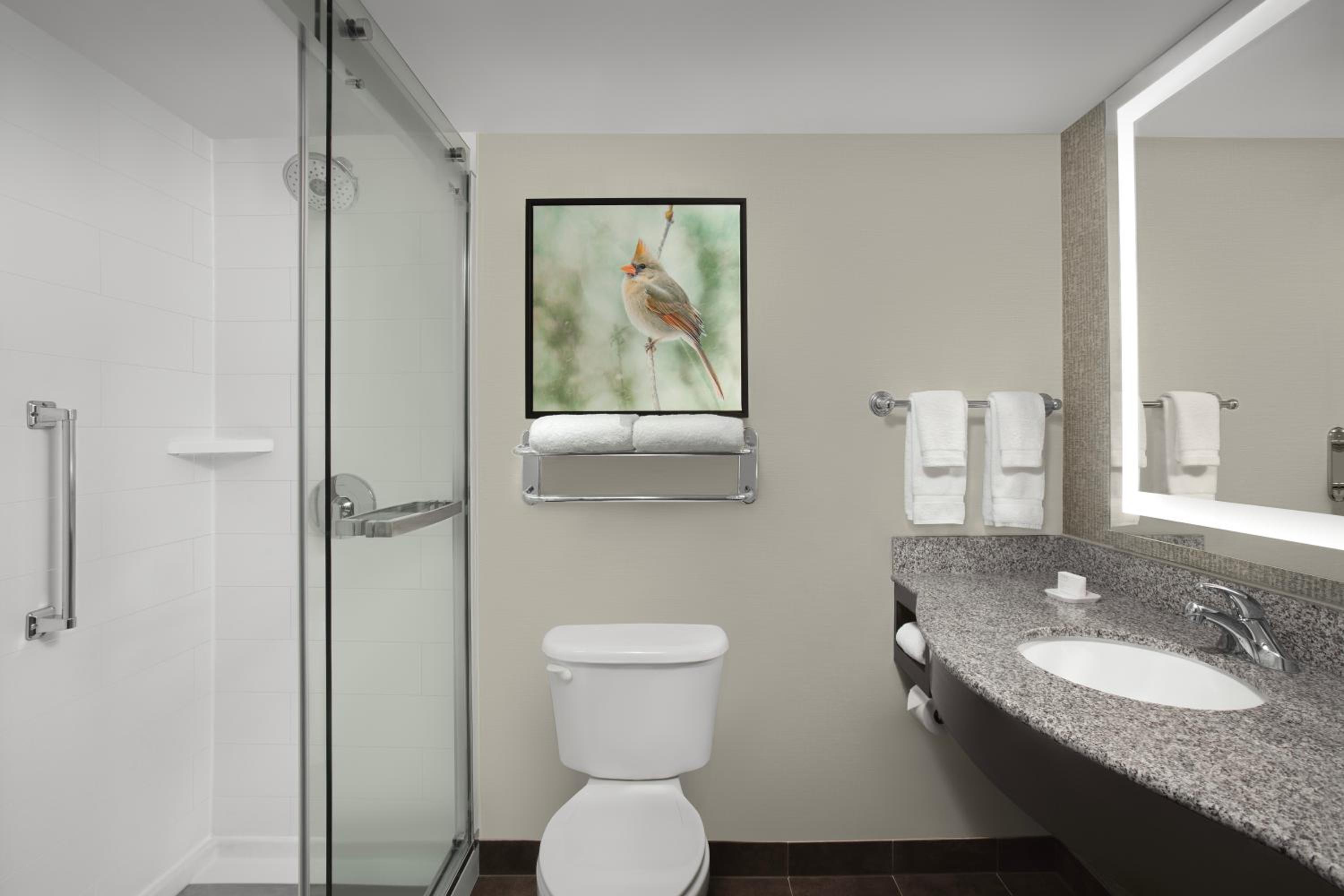 King Room with Walk-In Shower - Photo 5