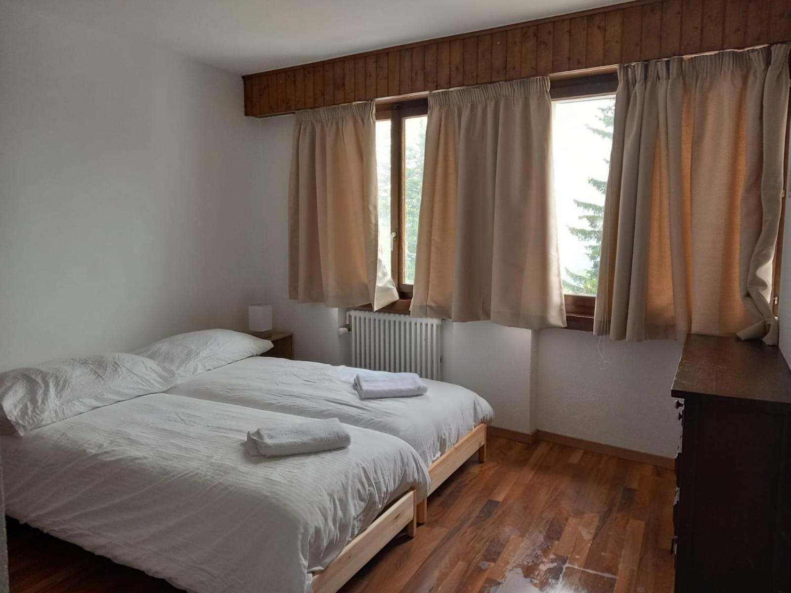 Double or Twin Room with Mountain View