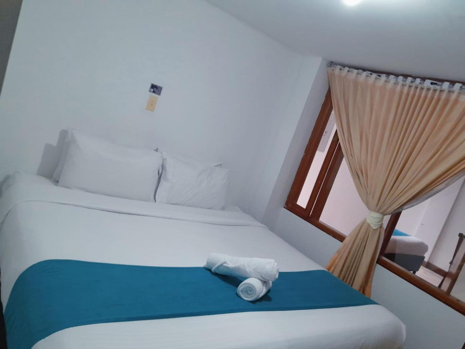 Single Room photo 3