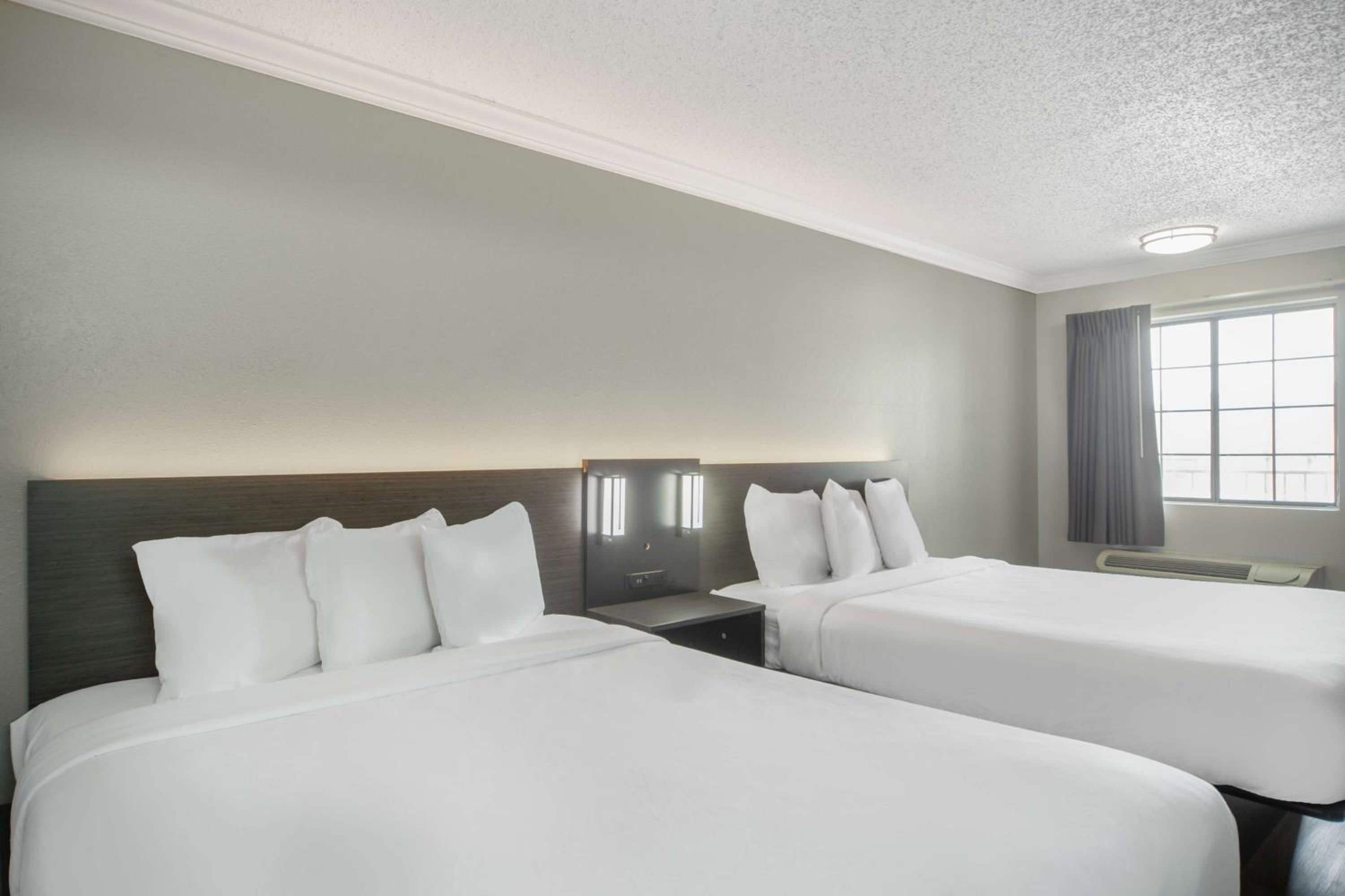 Queen Room with Two Queen Beds - Disability Access - Roll In Shower - Photo 5