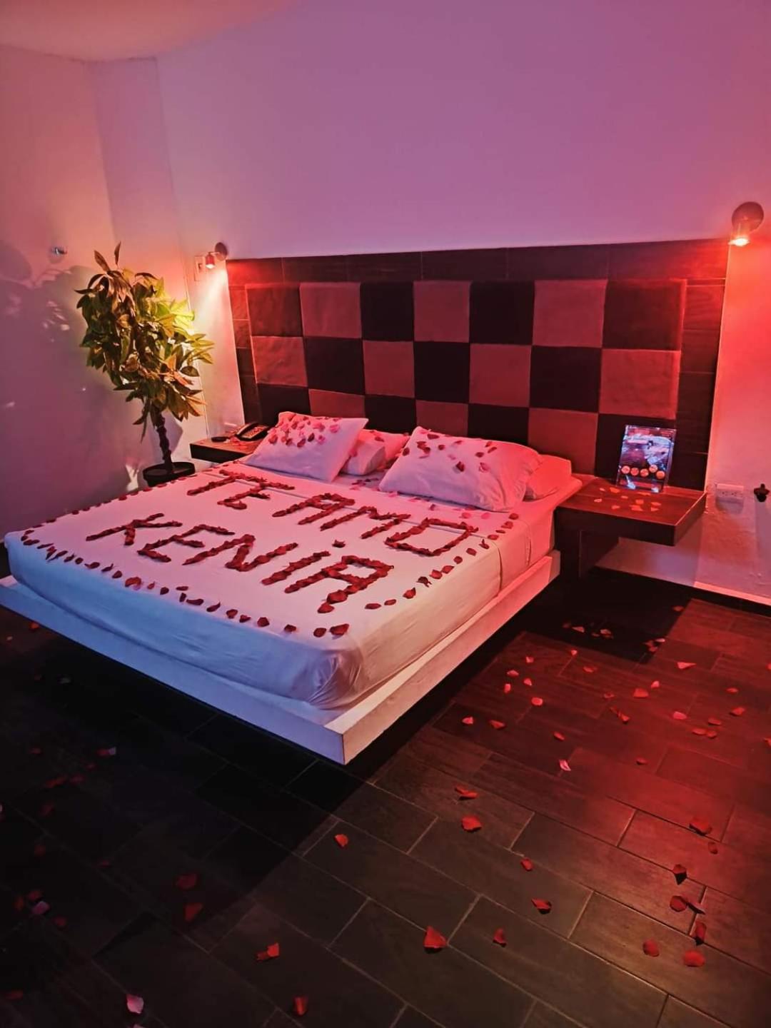 Standard Suite photo 2