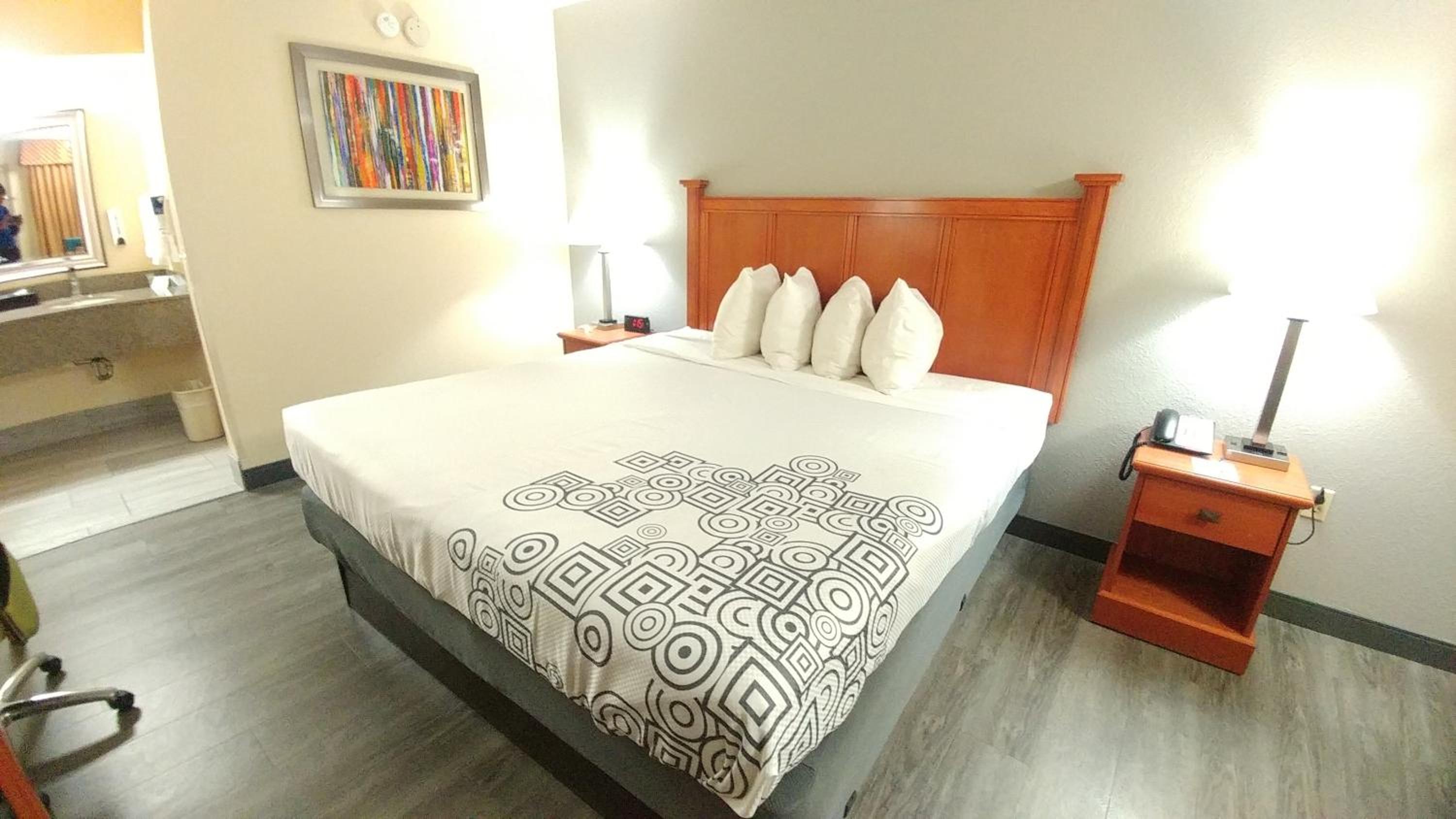 King Room - Pet Friendly/Smoking - Photo 3