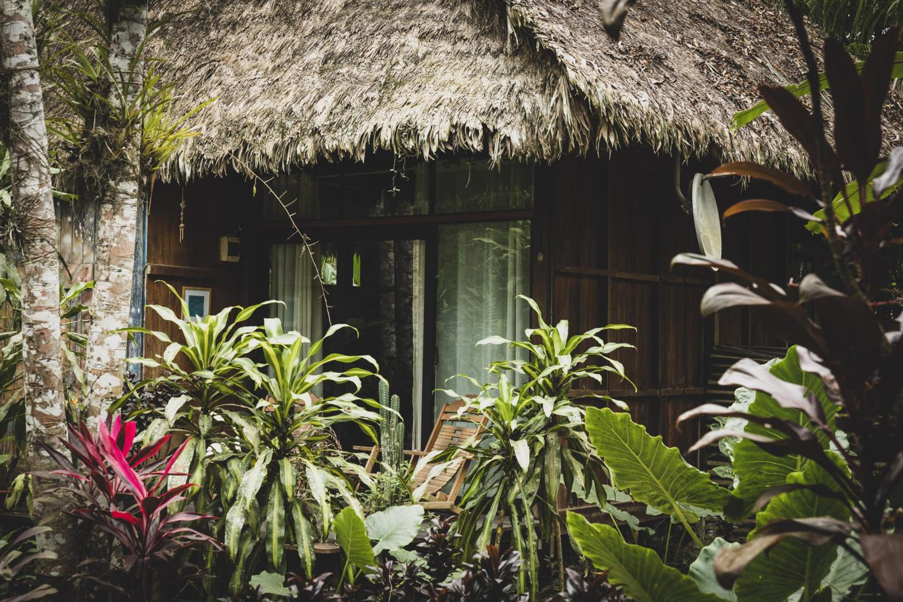 Superior Bungalow - Photo 2