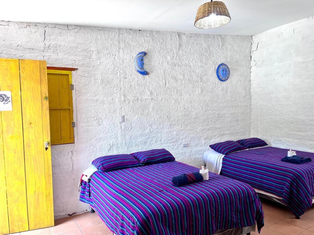 Double Room with Two Double Beds