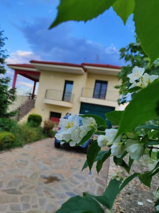 Two-Bedroom Villa photo 3