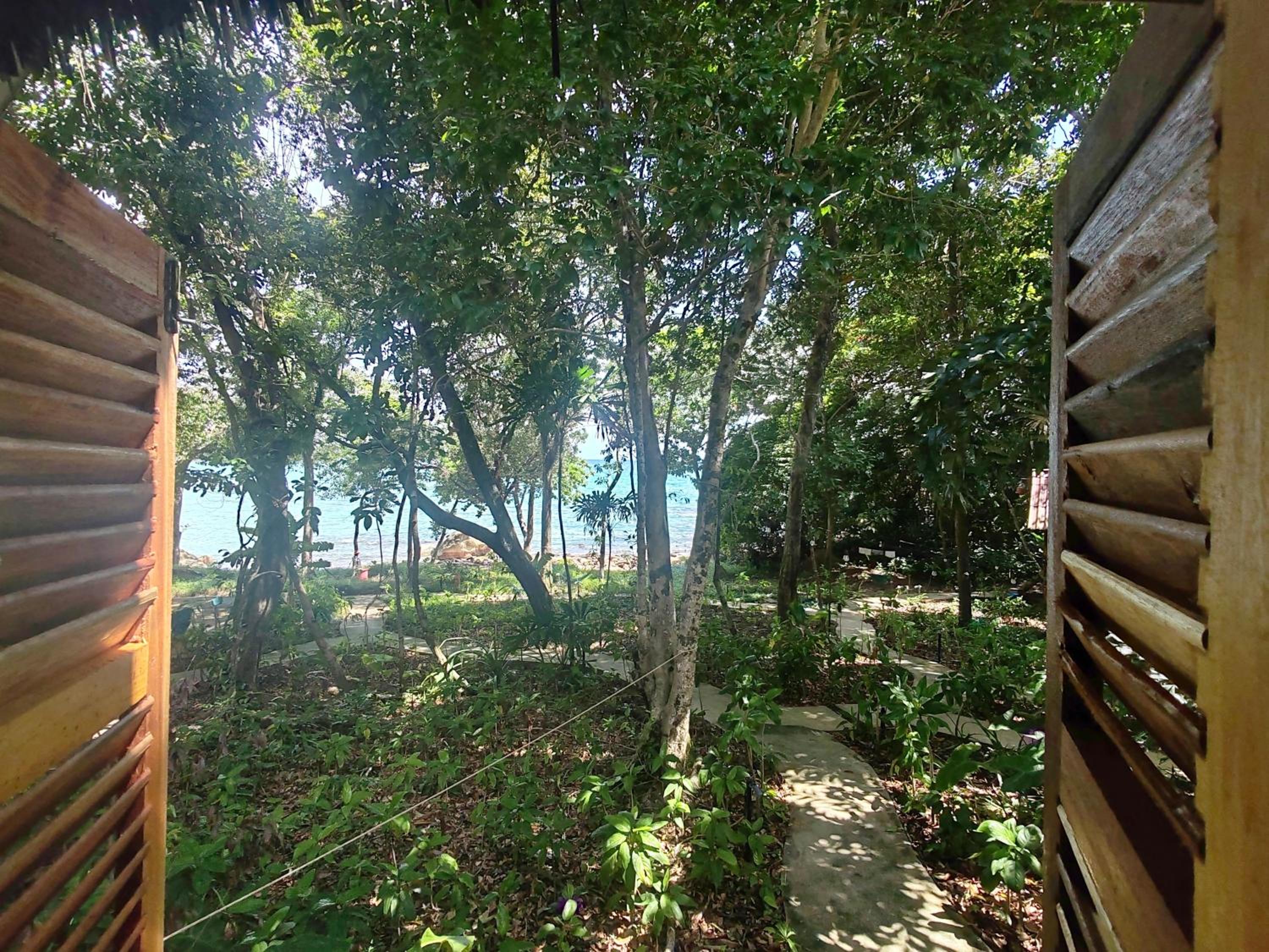 Standard Bungalow - Photo 4