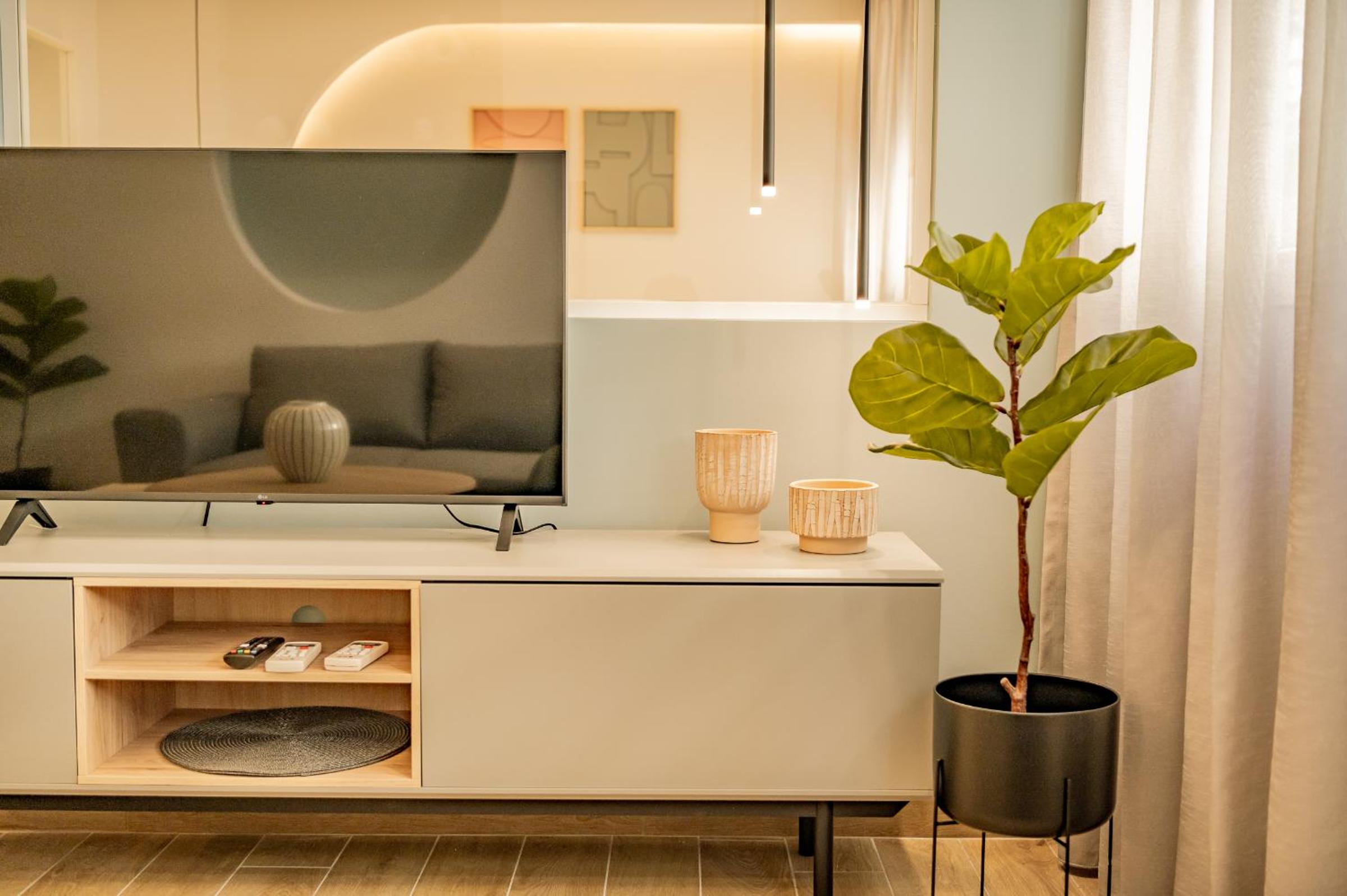 Deluxe One-Bedroom Apartment