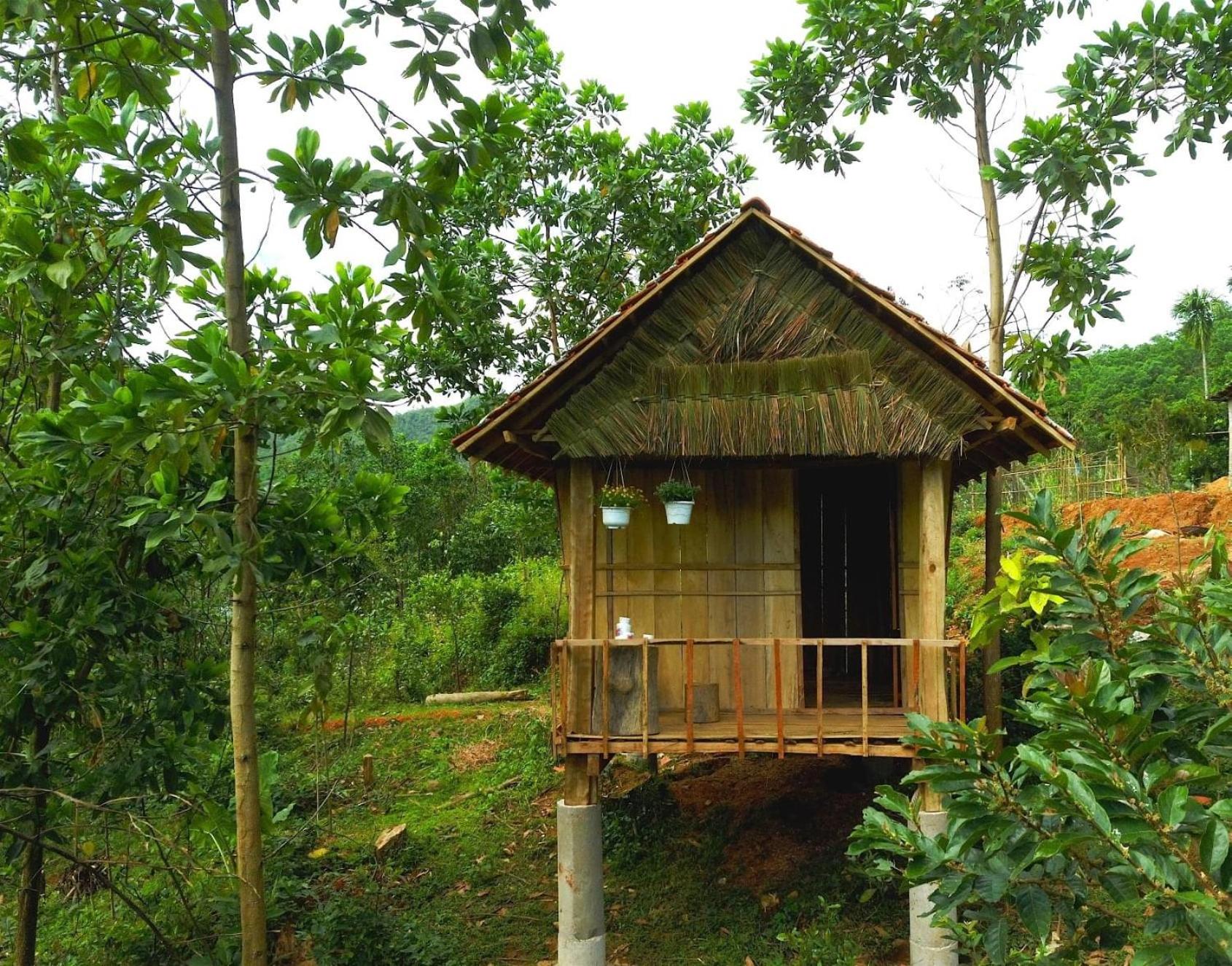 Double Room with Garden View photo 2