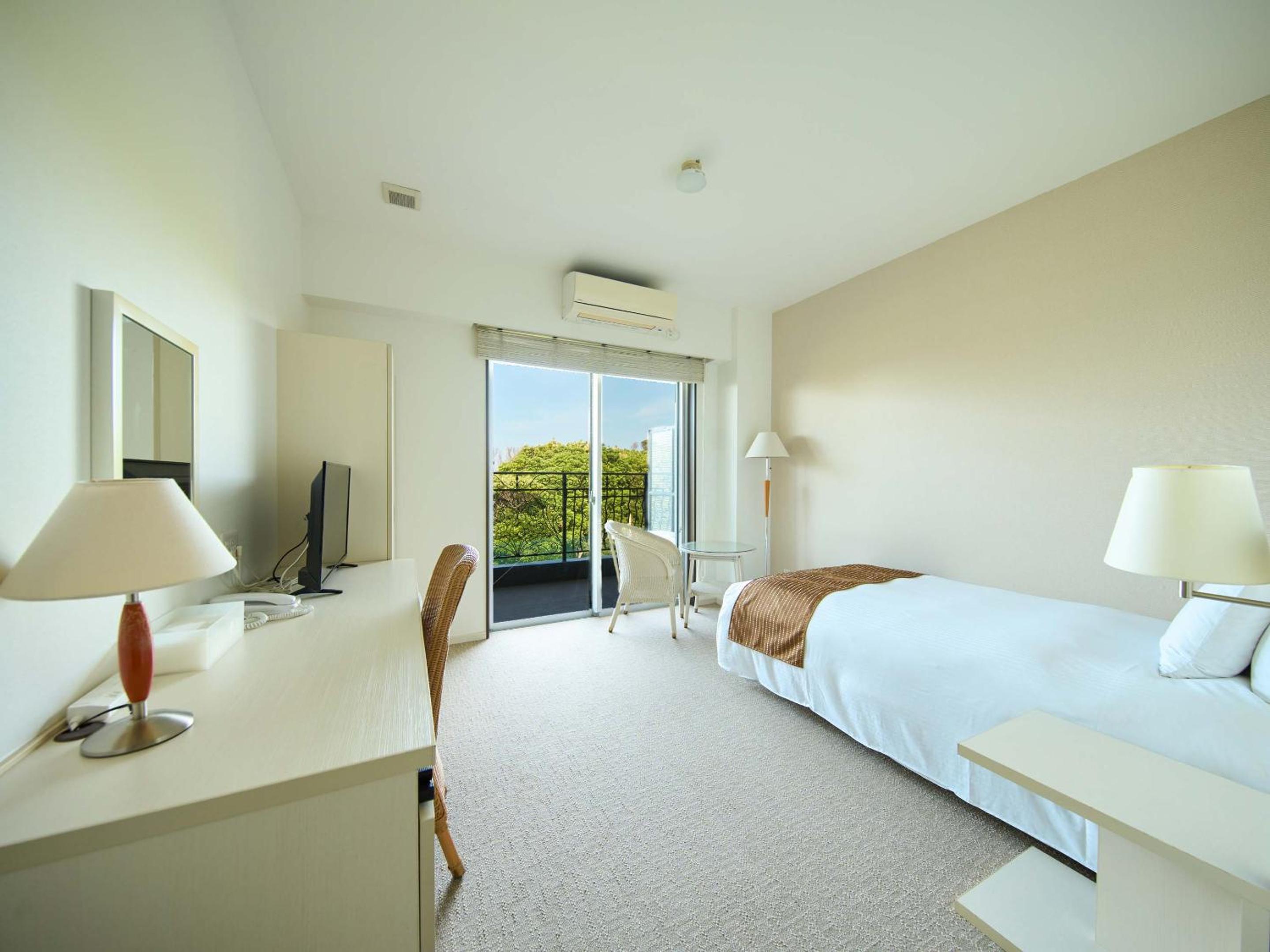 Deluxe Single Room photo 2
