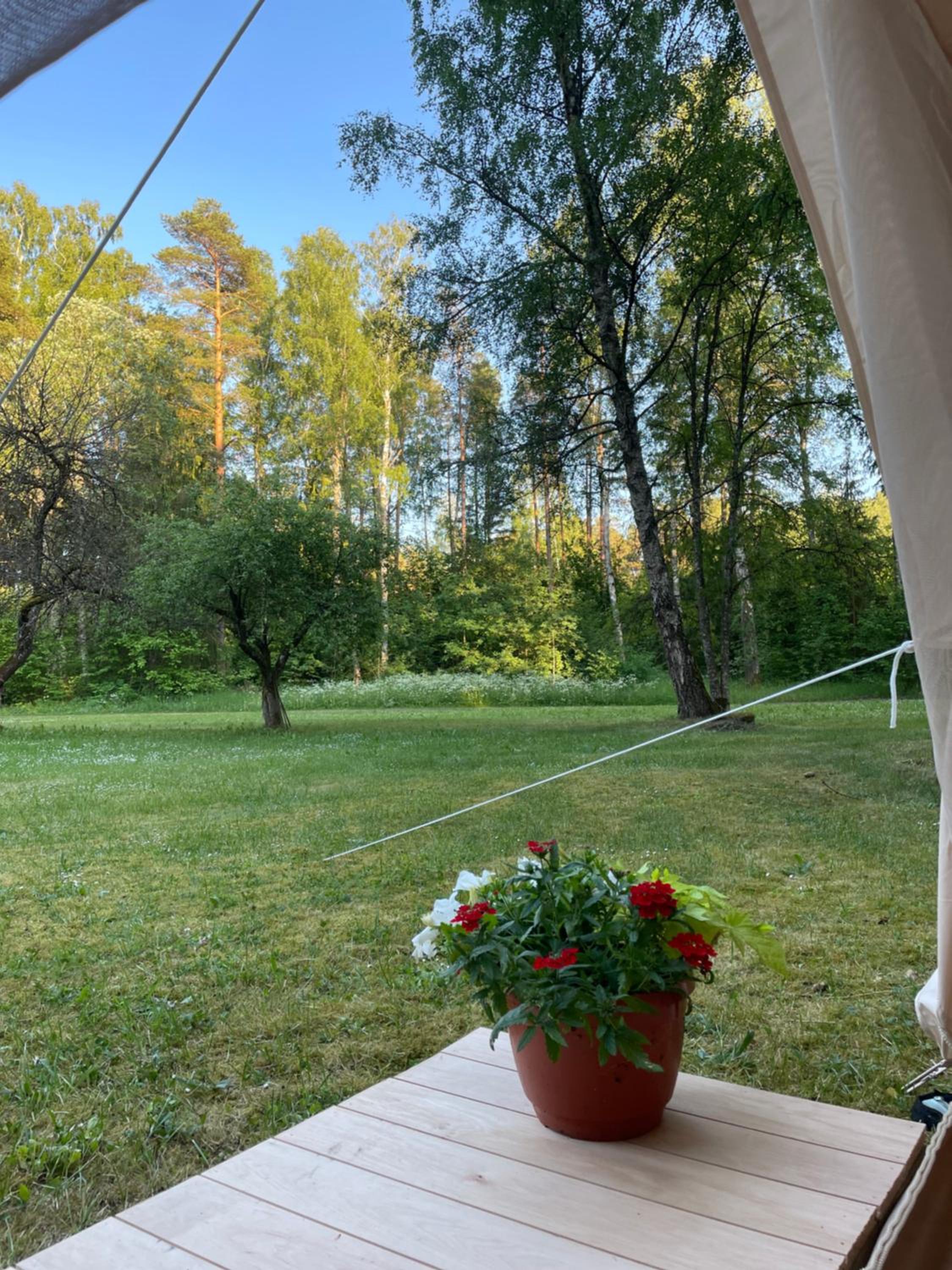 Triple Room With Garden View photo 2