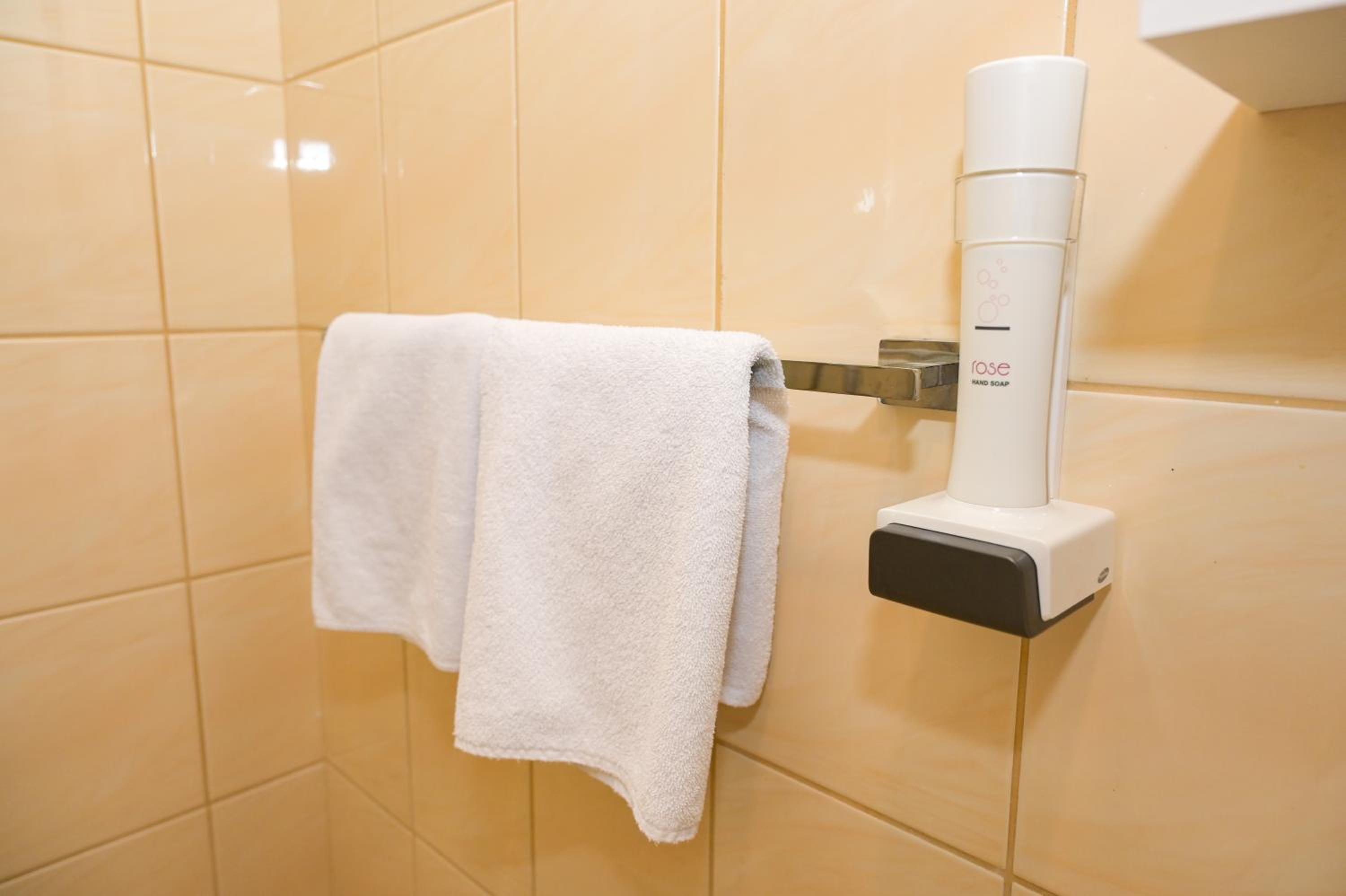 Deluxe Double Room (2 Adults + 1 Child) - Photo 6