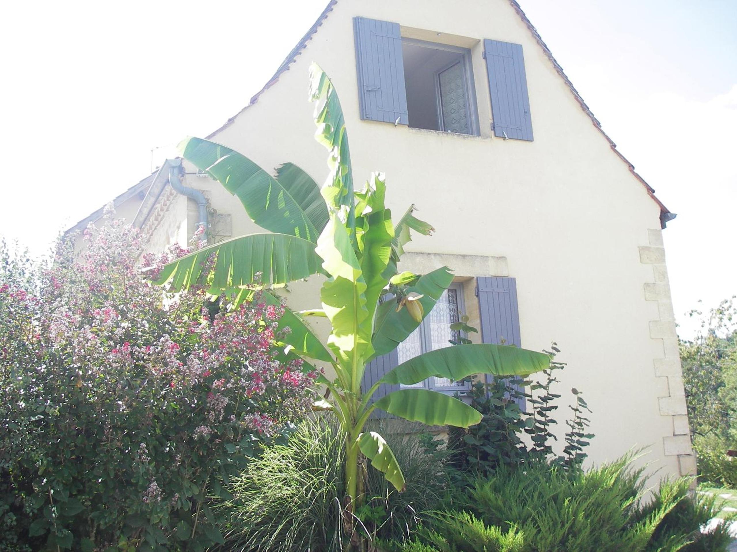 Two-Bedroom House photo 3