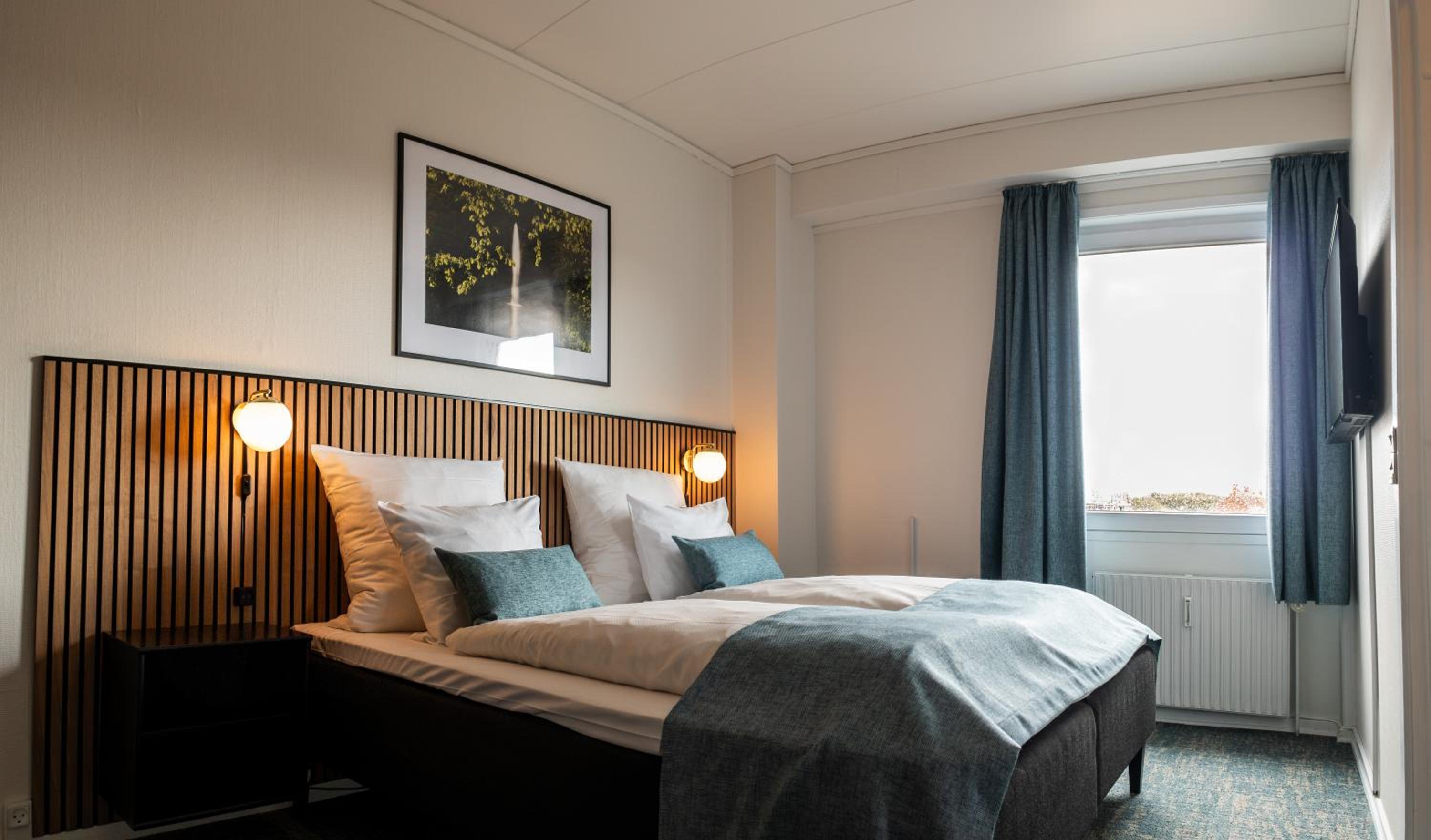 Suite - Photo 1